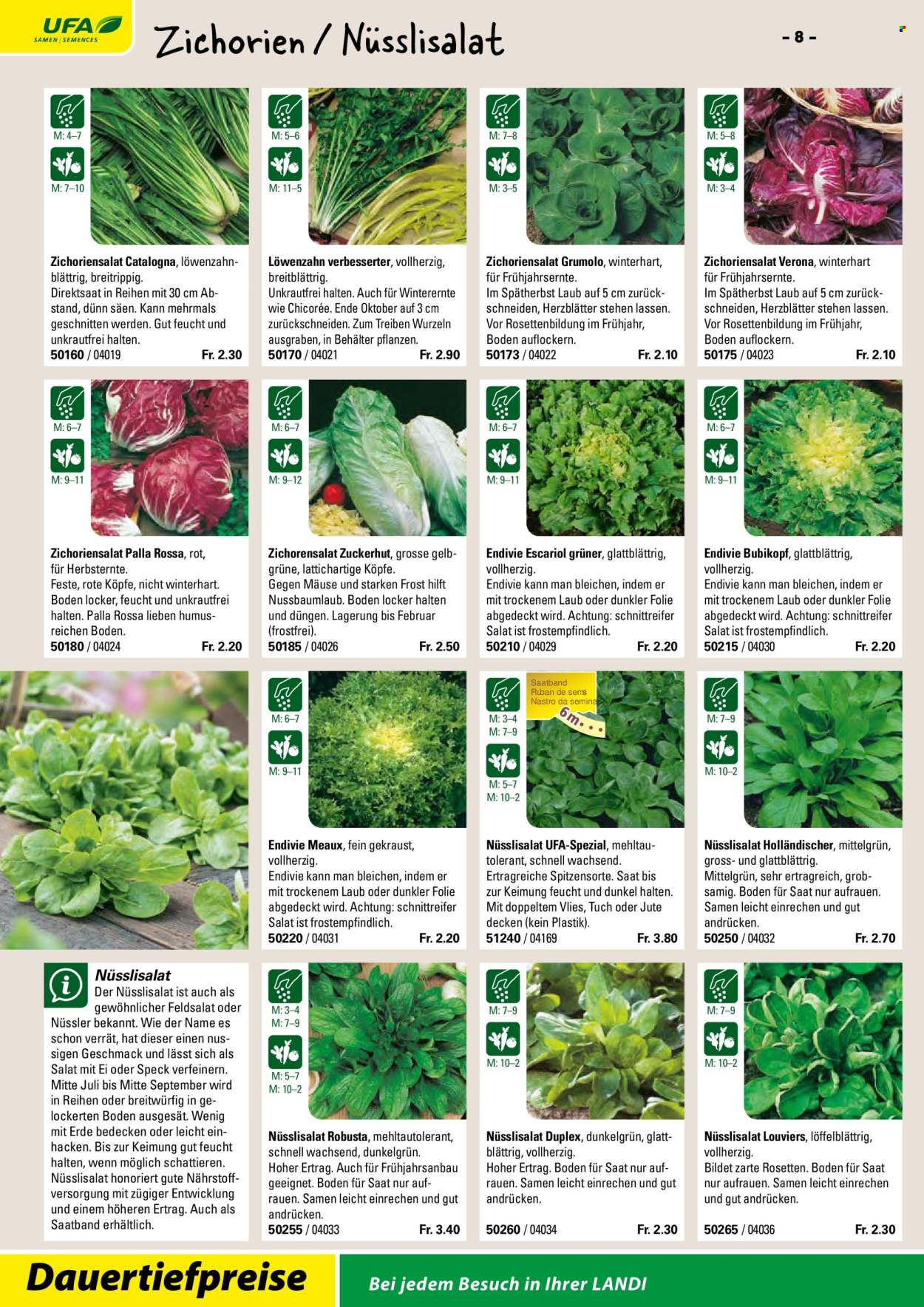 Volantino Landi. Pagina 10. Pagina 10