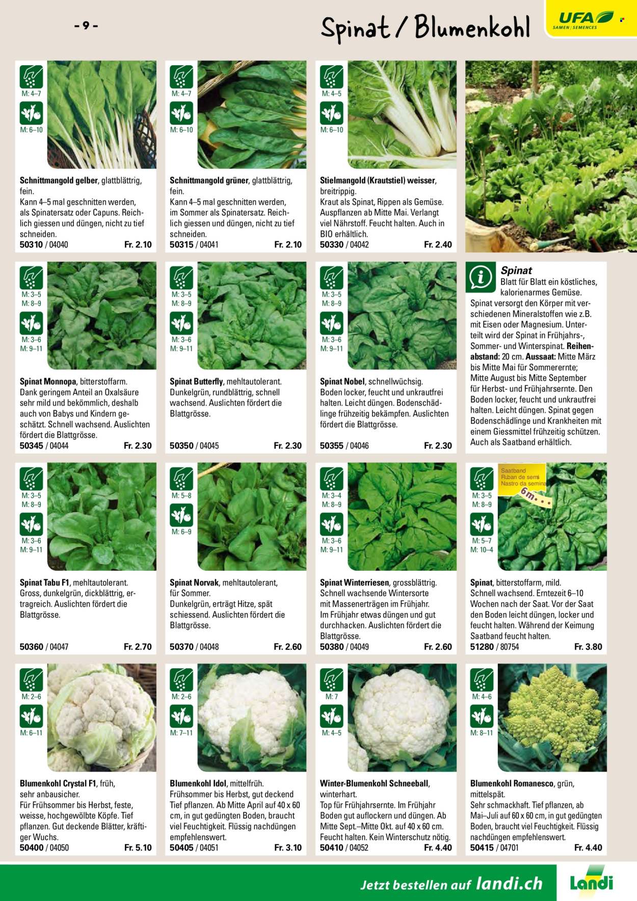 Volantino Landi. Pagina 11. Pagina 11