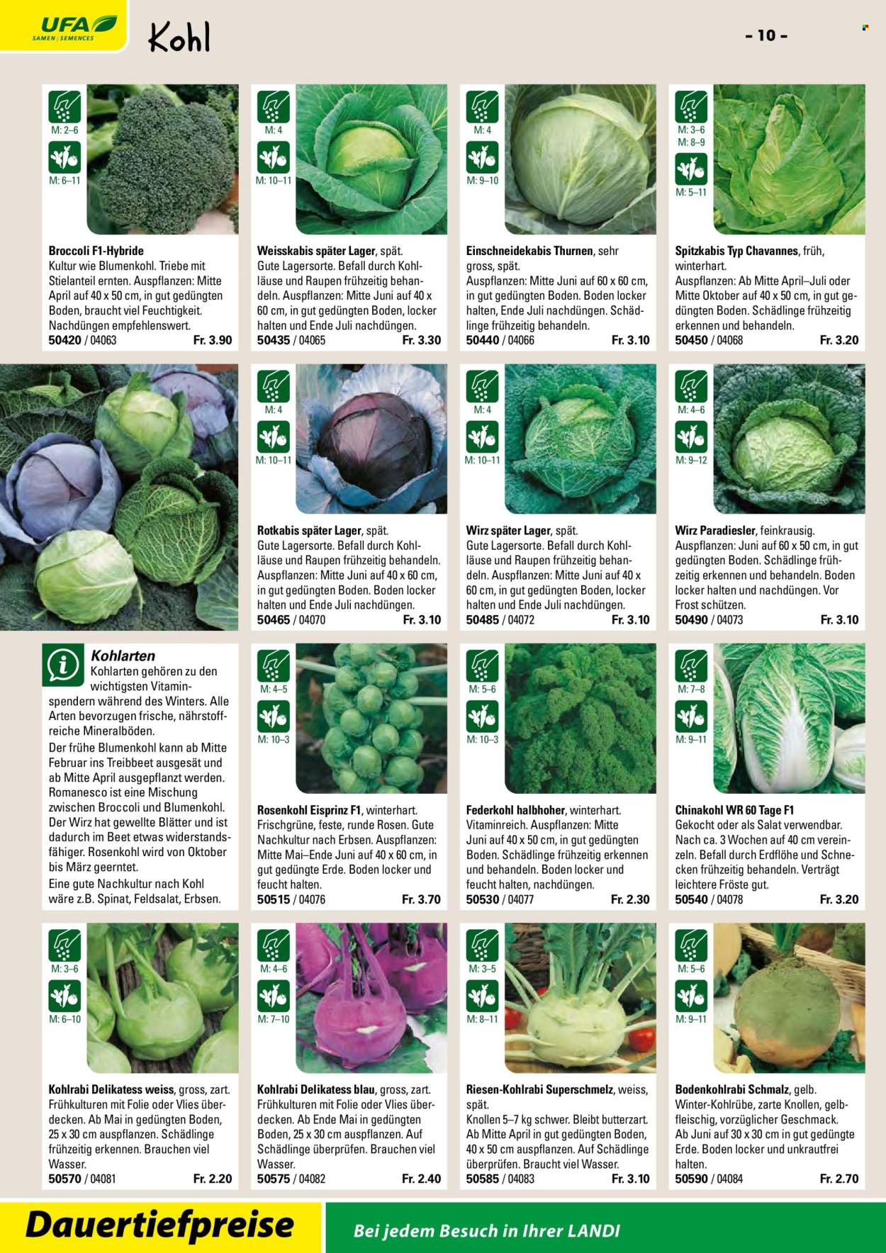 Volantino Landi. Pagina 12. Pagina 12