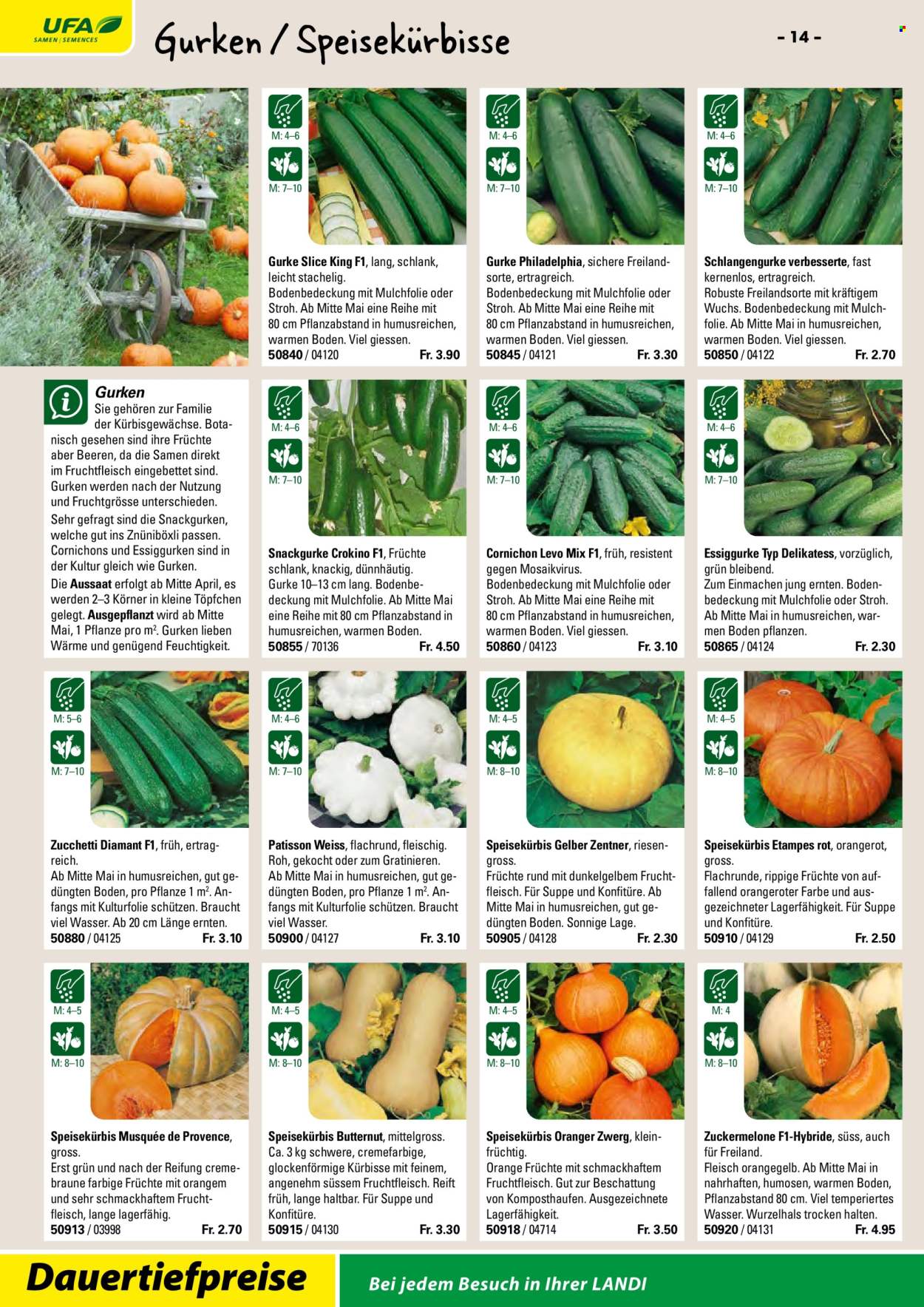 Volantino Landi. Pagina 16. Pagina 16