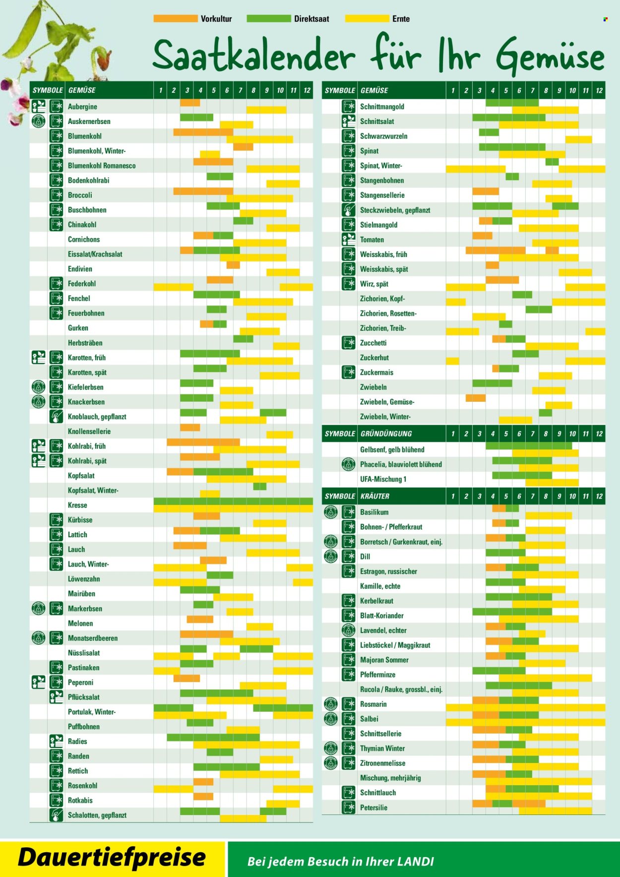 Volantino Landi. Pagina 20. Pagina 20