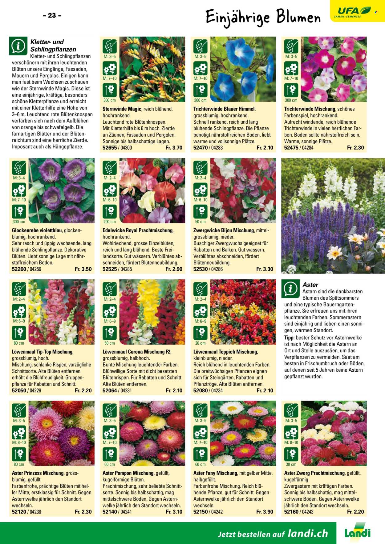 Volantino Landi. Pagina 25. Pagina 25