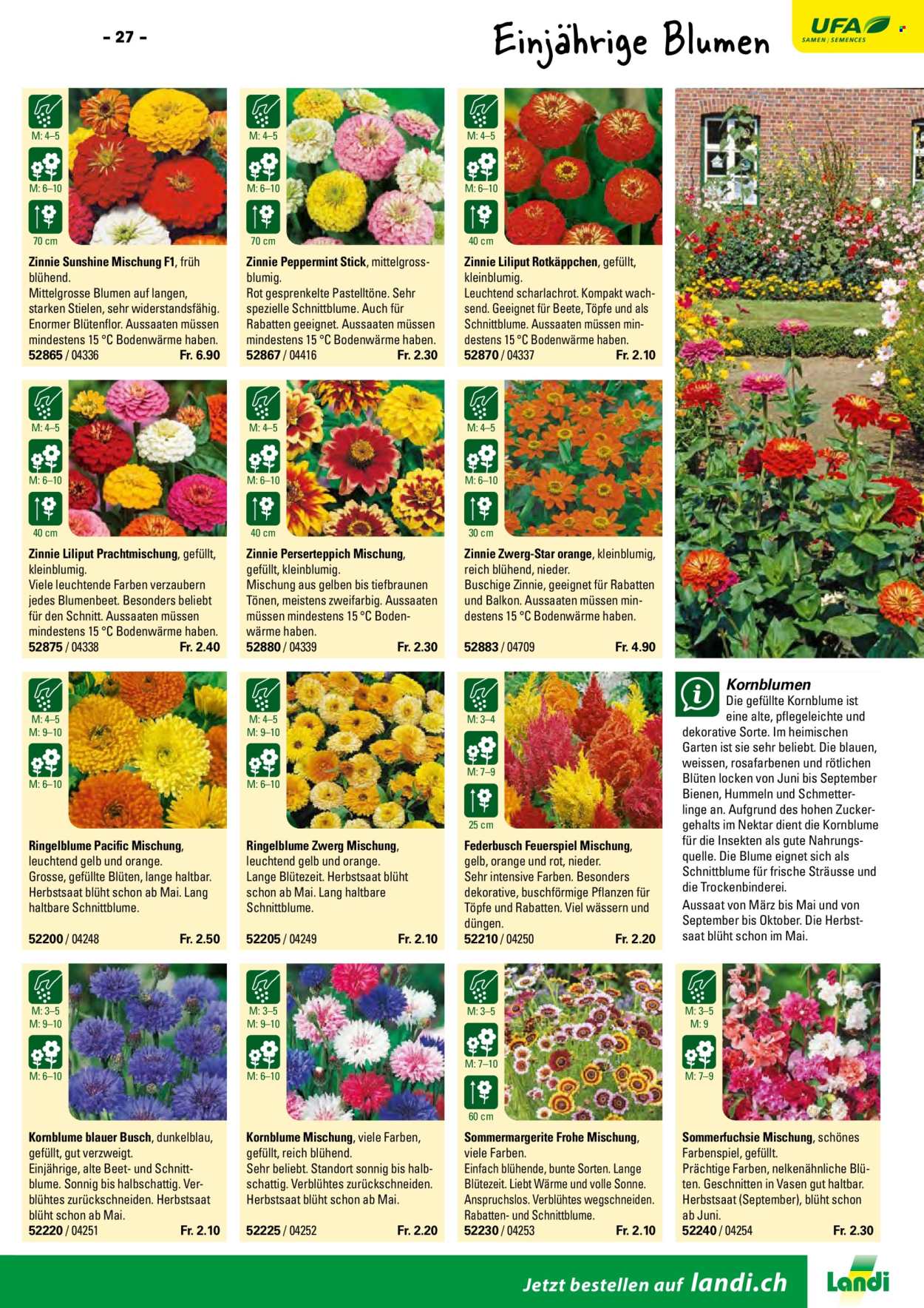 Volantino Landi. Pagina 29. Pagina 29