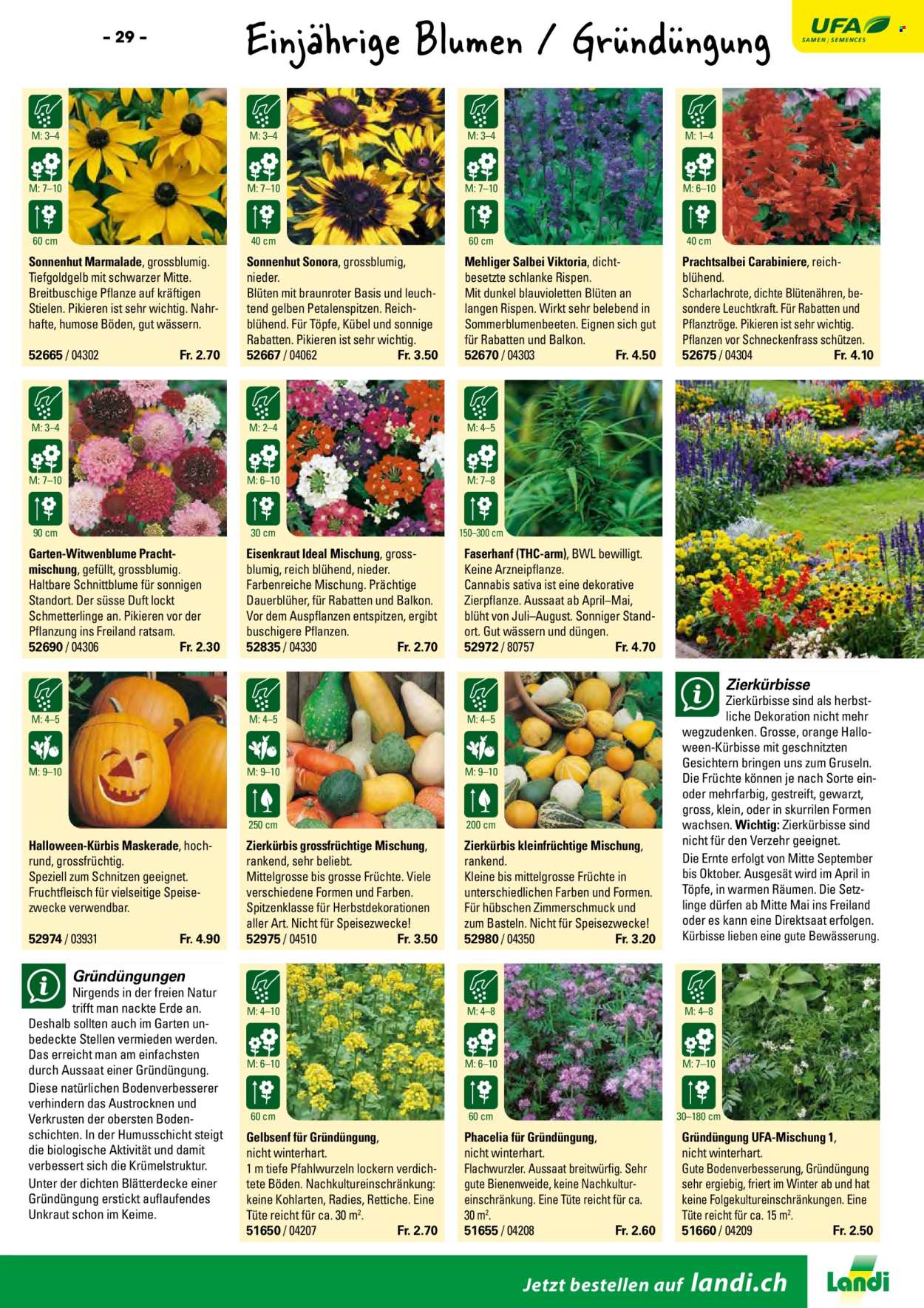 Volantino Landi. Pagina 31. Pagina 31