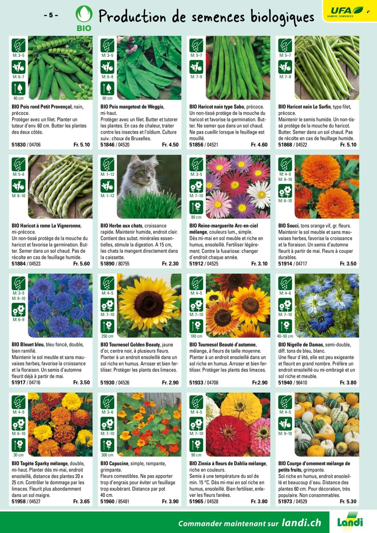 Volantino Landi. Pagina 7. Pagina 7