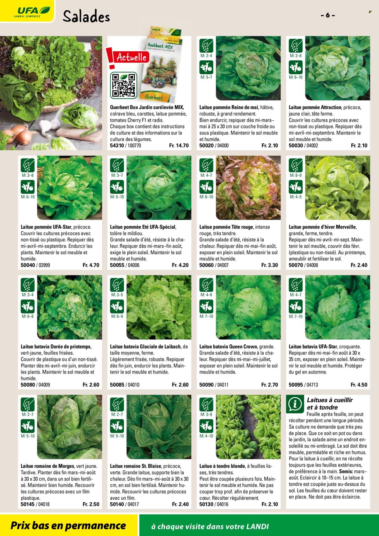 Volantino Landi. Pagina 8. Pagina 8