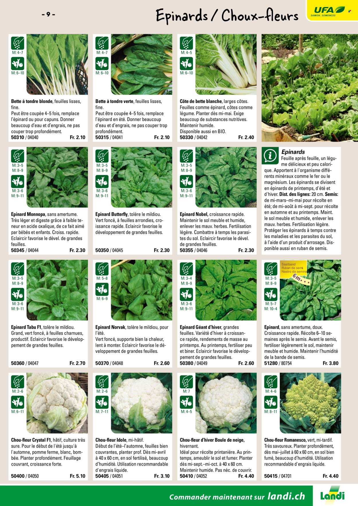 Volantino Landi. Pagina 11. Pagina 11