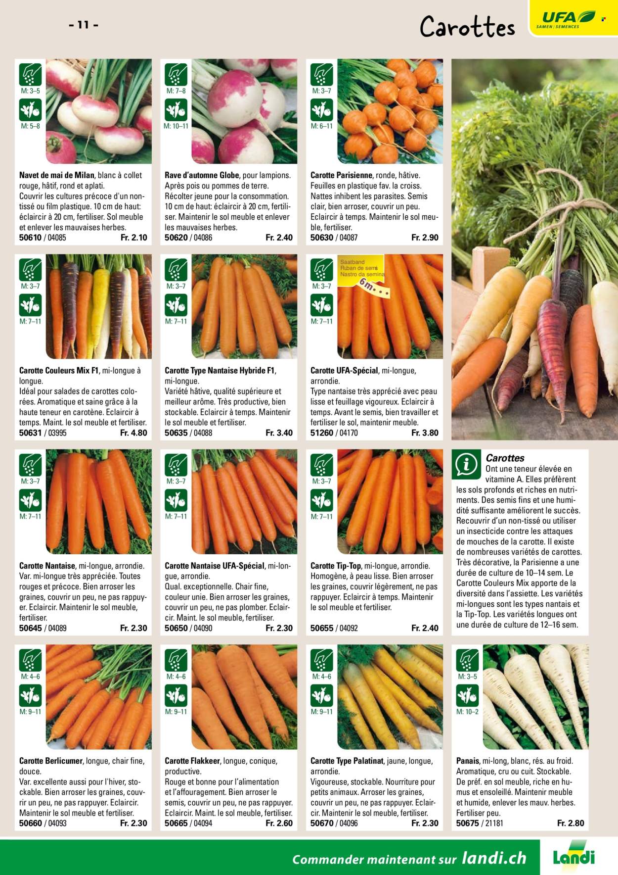 Volantino Landi. Pagina 13. Pagina 13