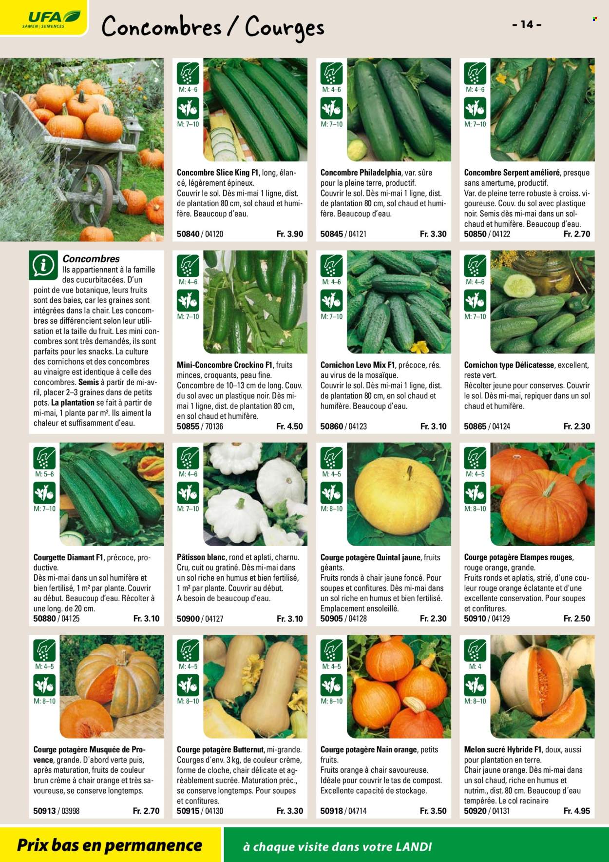 Volantino Landi. Pagina 16. Pagina 16