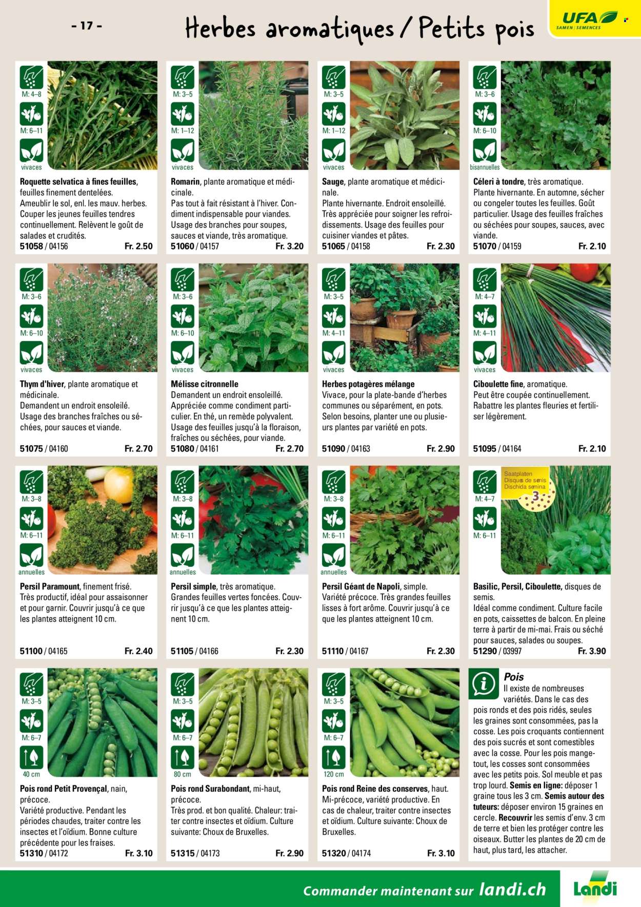 Volantino Landi. Pagina 19. Pagina 19