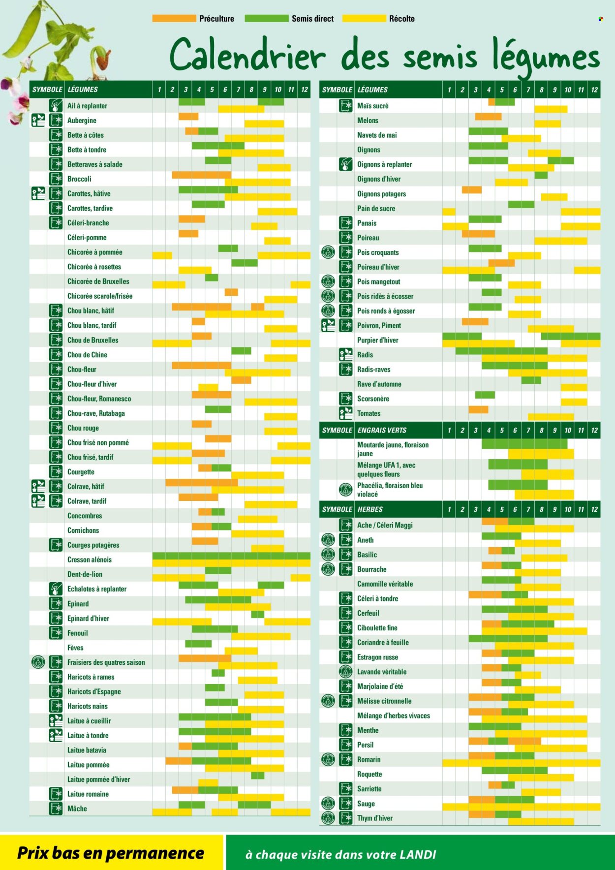 Volantino Landi. Pagina 20. Pagina 20