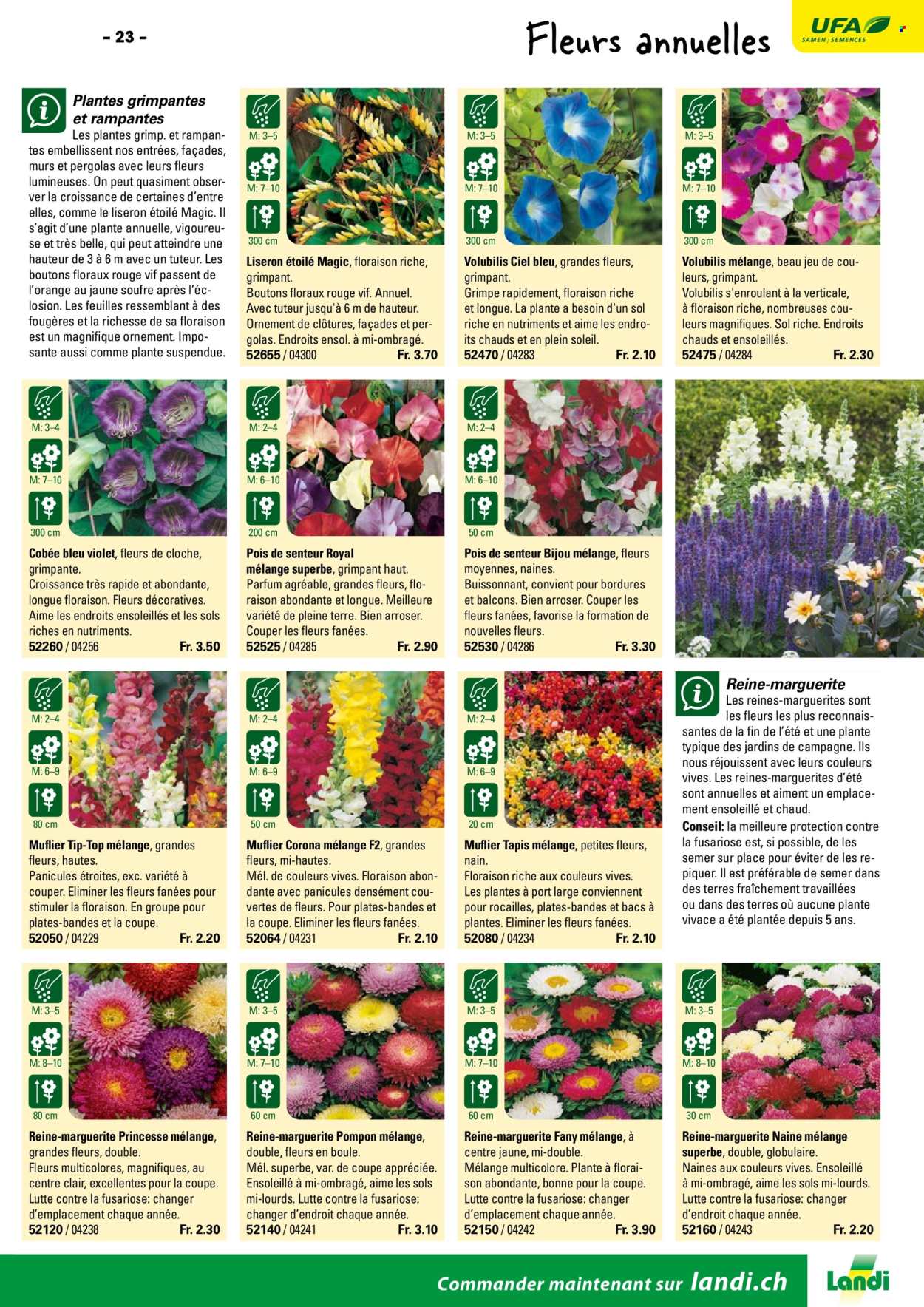 Volantino Landi. Pagina 25. Pagina 25