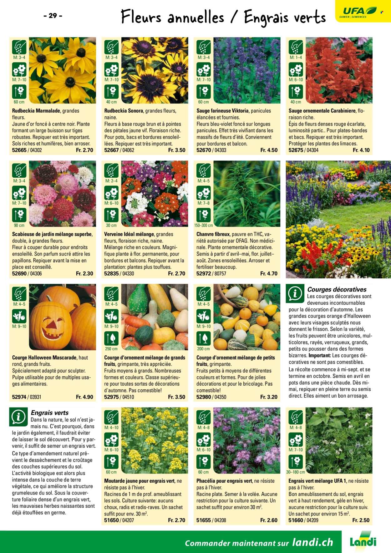 Volantino Landi. Pagina 31. Pagina 31