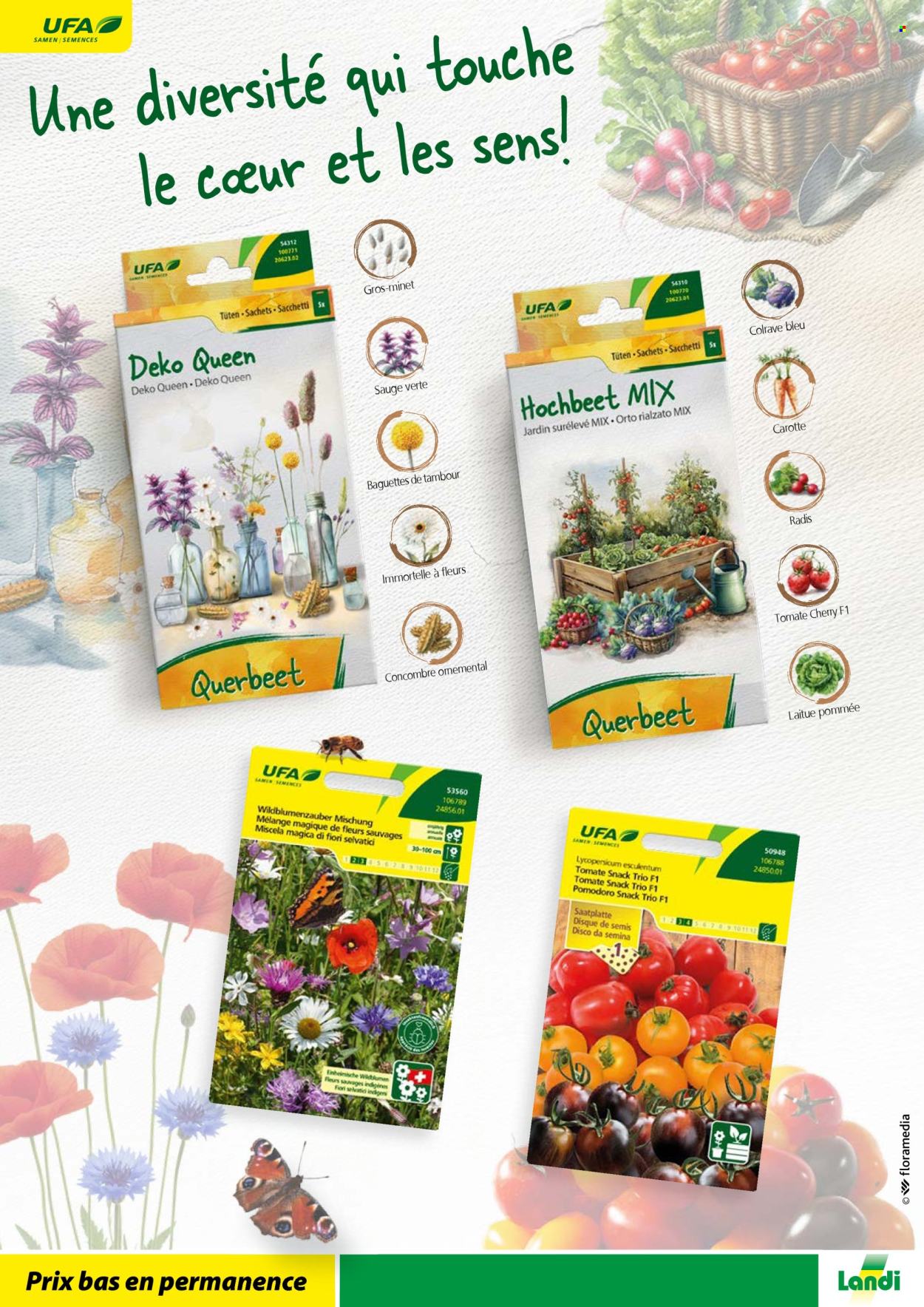 Volantino Landi. Pagina 38. Pagina 38