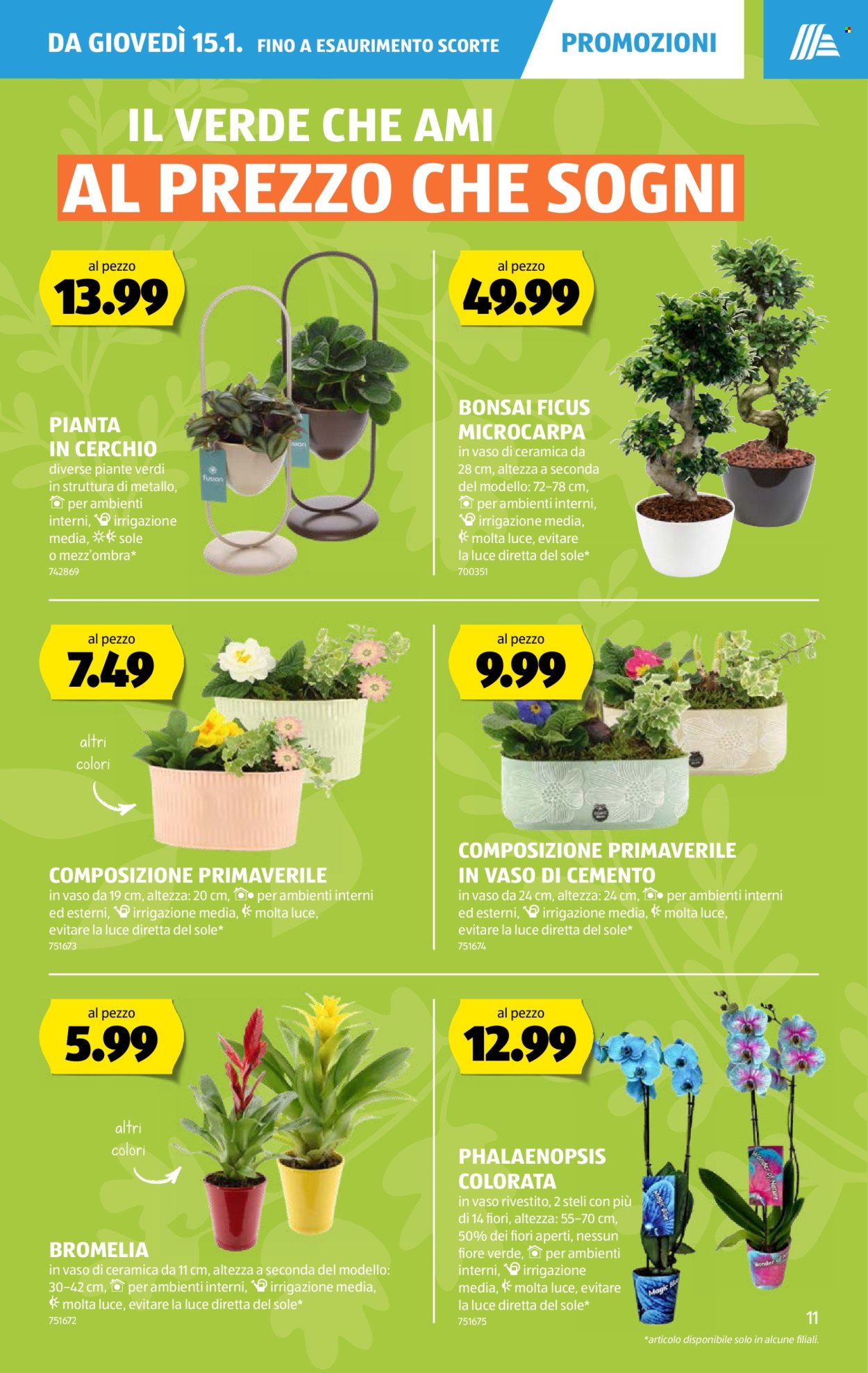 Volantino Aldi - 15.1.2026 - 21.1.2026. Pagina 11. Pagina 11