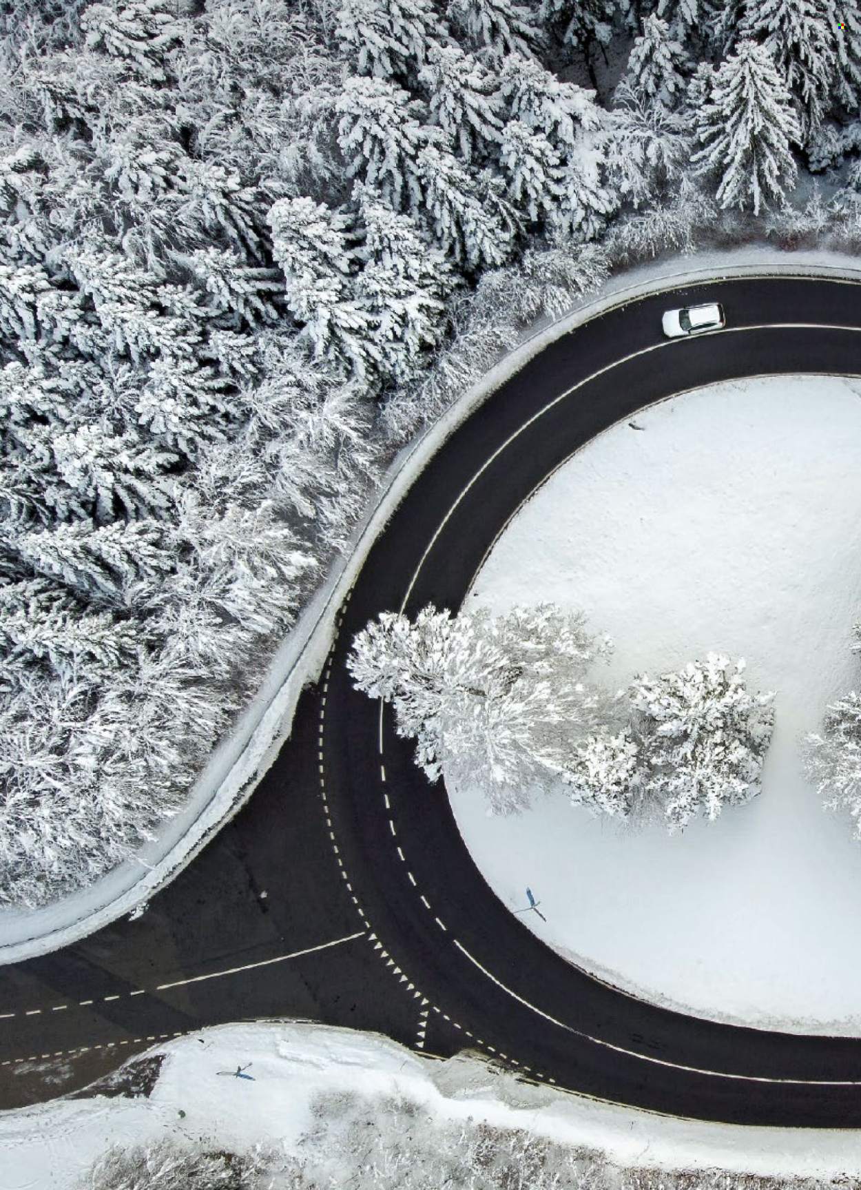 Volantino Coop - 8.1.2026 - 14.1.2026. Pagina 12. Pagina 12