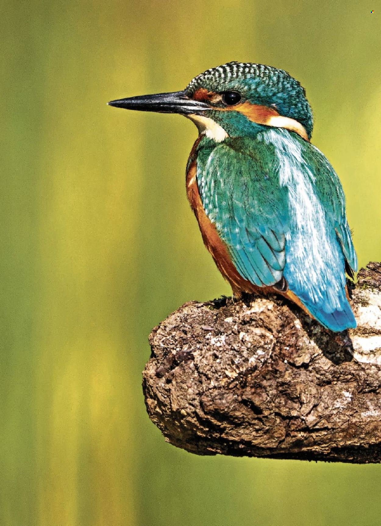 Volantino Coop - 8.1.2026 - 14.1.2026. Pagina 14. Pagina 14