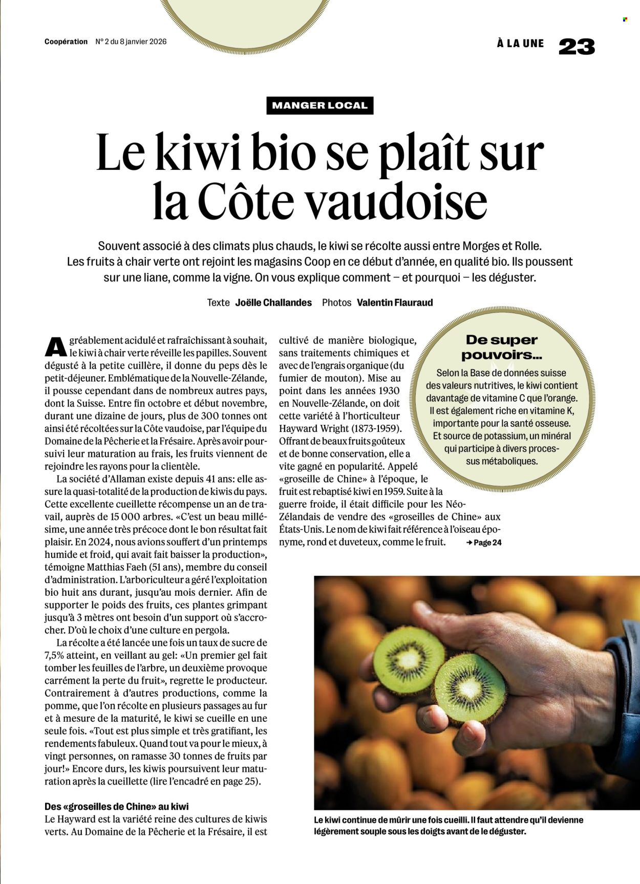 Volantino Coop - 8.1.2026 - 14.1.2026. Pagina 23. Pagina 23