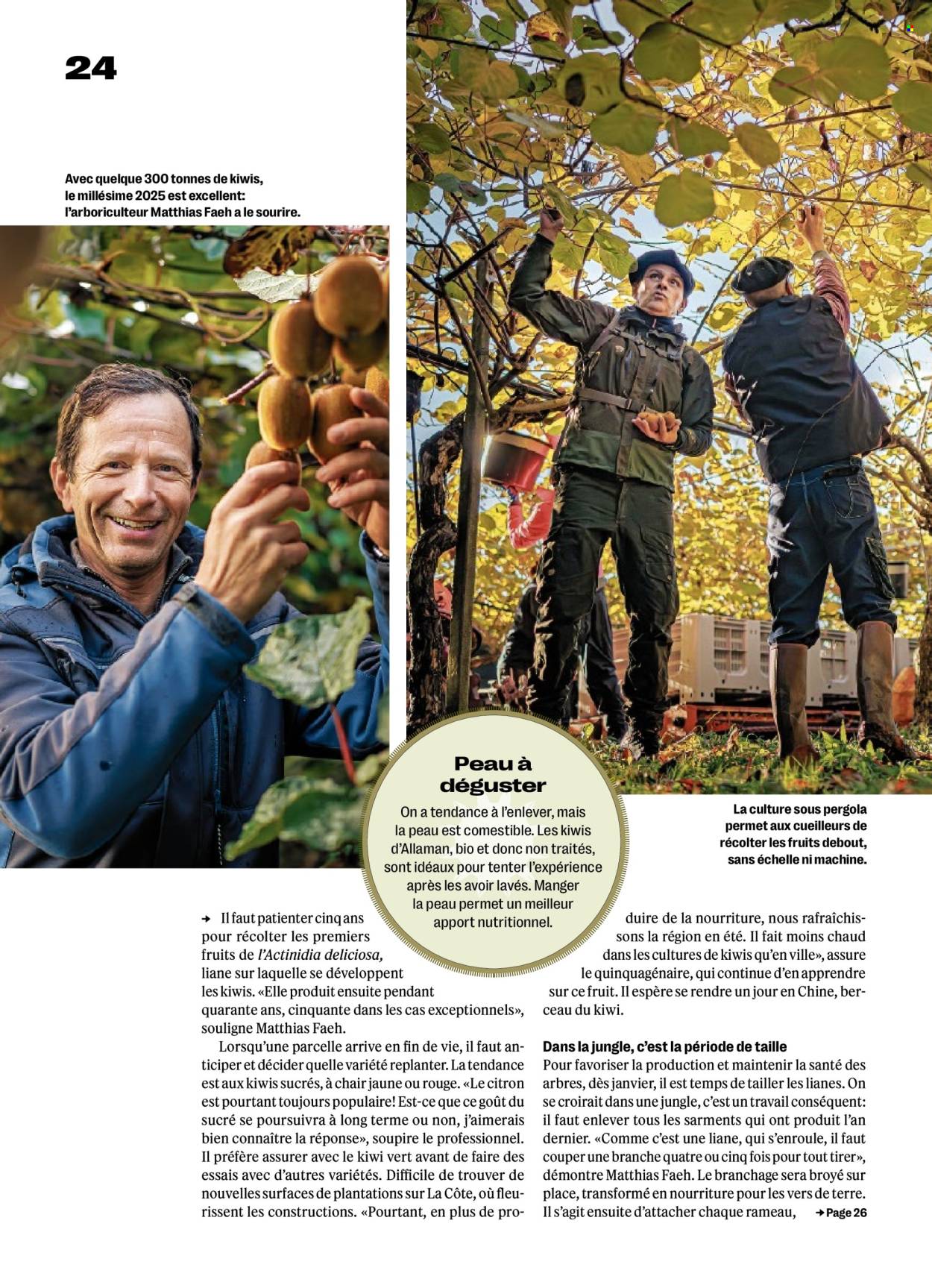 Volantino Coop - 8.1.2026 - 14.1.2026. Pagina 24. Pagina 24