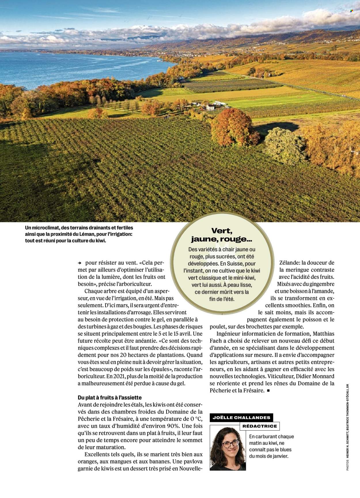 Volantino Coop - 8.1.2026 - 14.1.2026. Pagina 26. Pagina 26