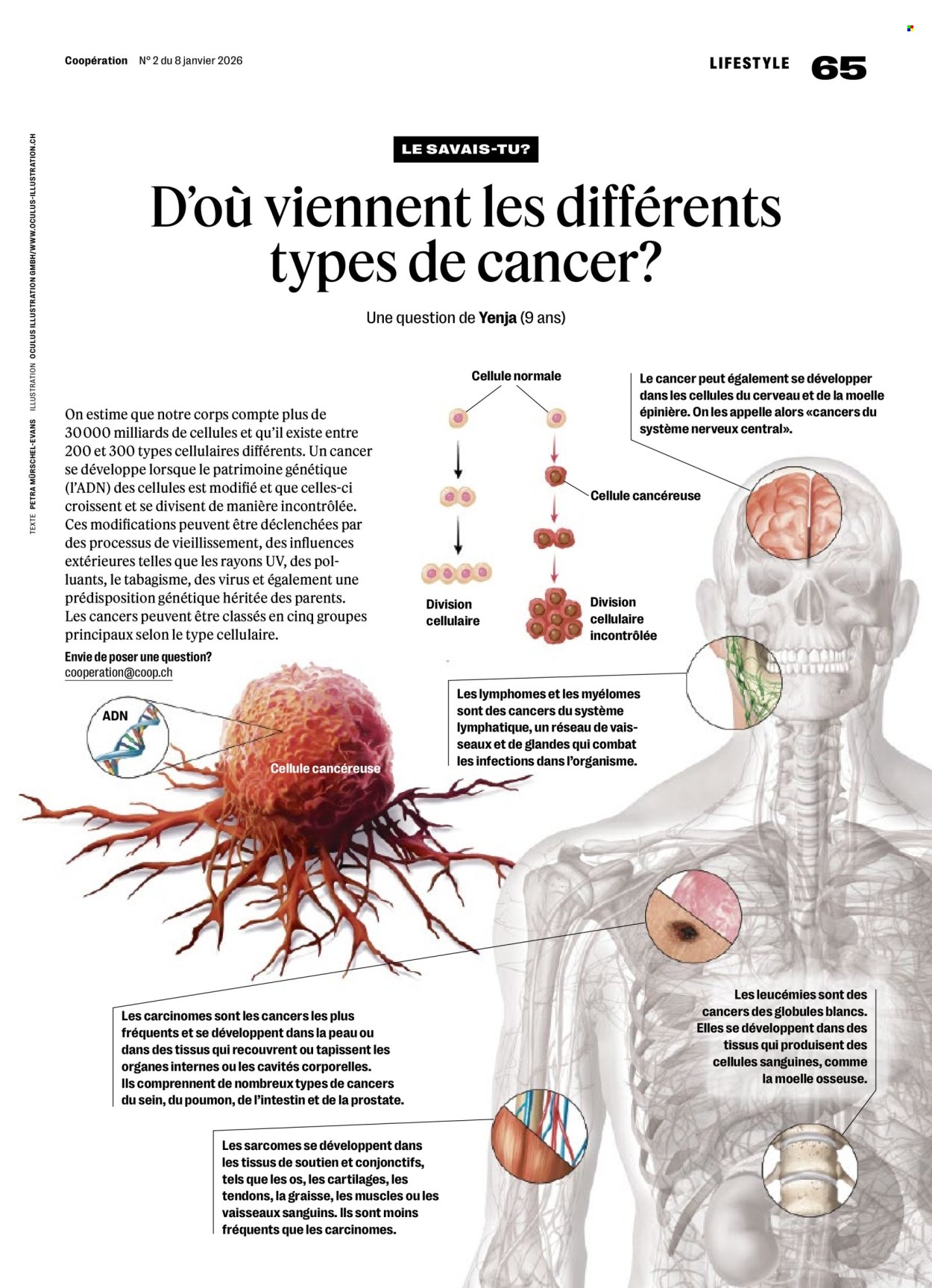 Volantino Coop - 8.1.2026 - 14.1.2026. Pagina 65. Pagina 65