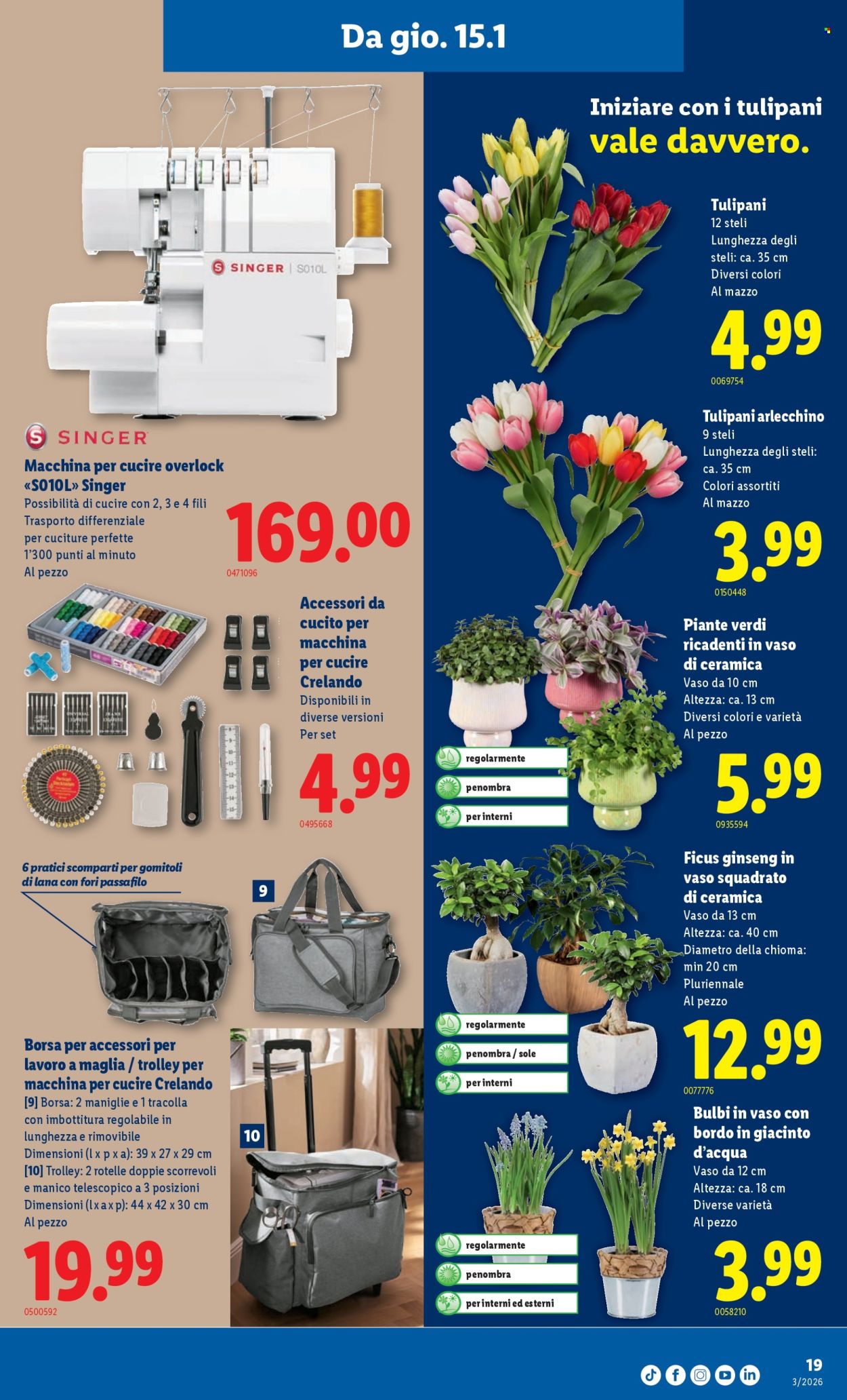 Volantino Lidl - 15.1.2026 - 21.1.2026. Pagina 19. Pagina 19