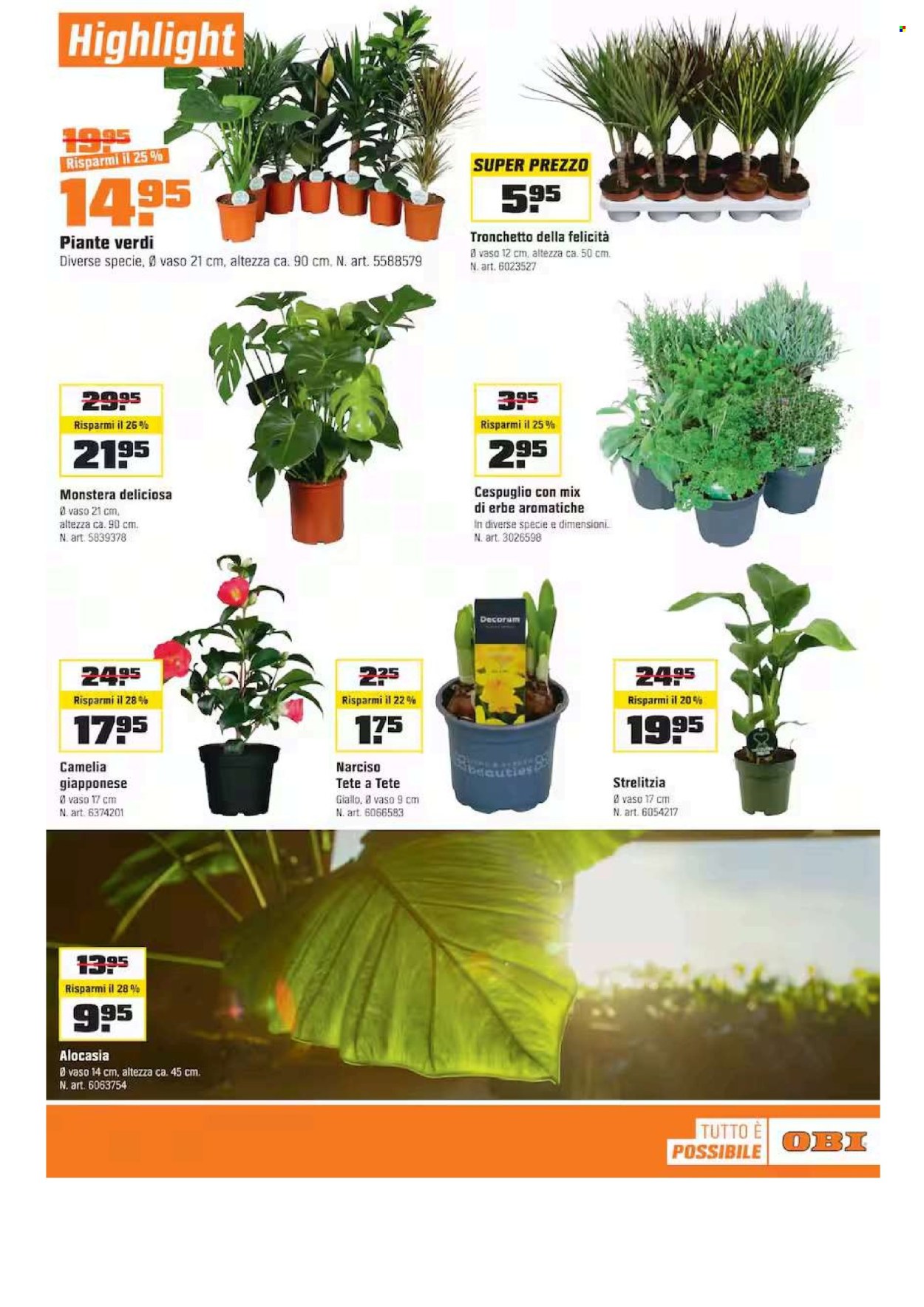 Volantino OBI - 11.1.2026 - 31.1.2026. Pagina 13. Pagina 13