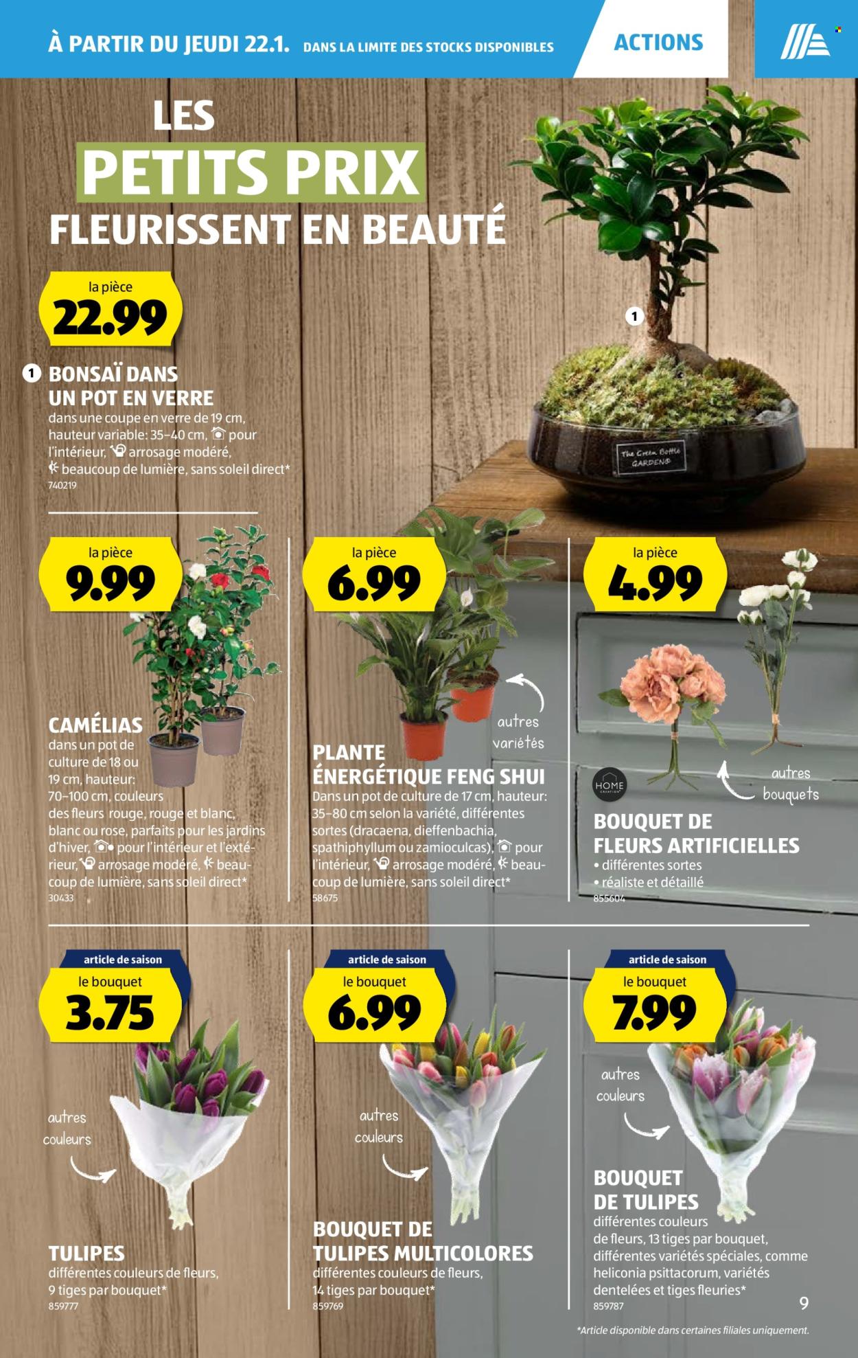 Volantino Aldi - 22.1.2026 - 28.1.2026. Pagina 9. Pagina 9
