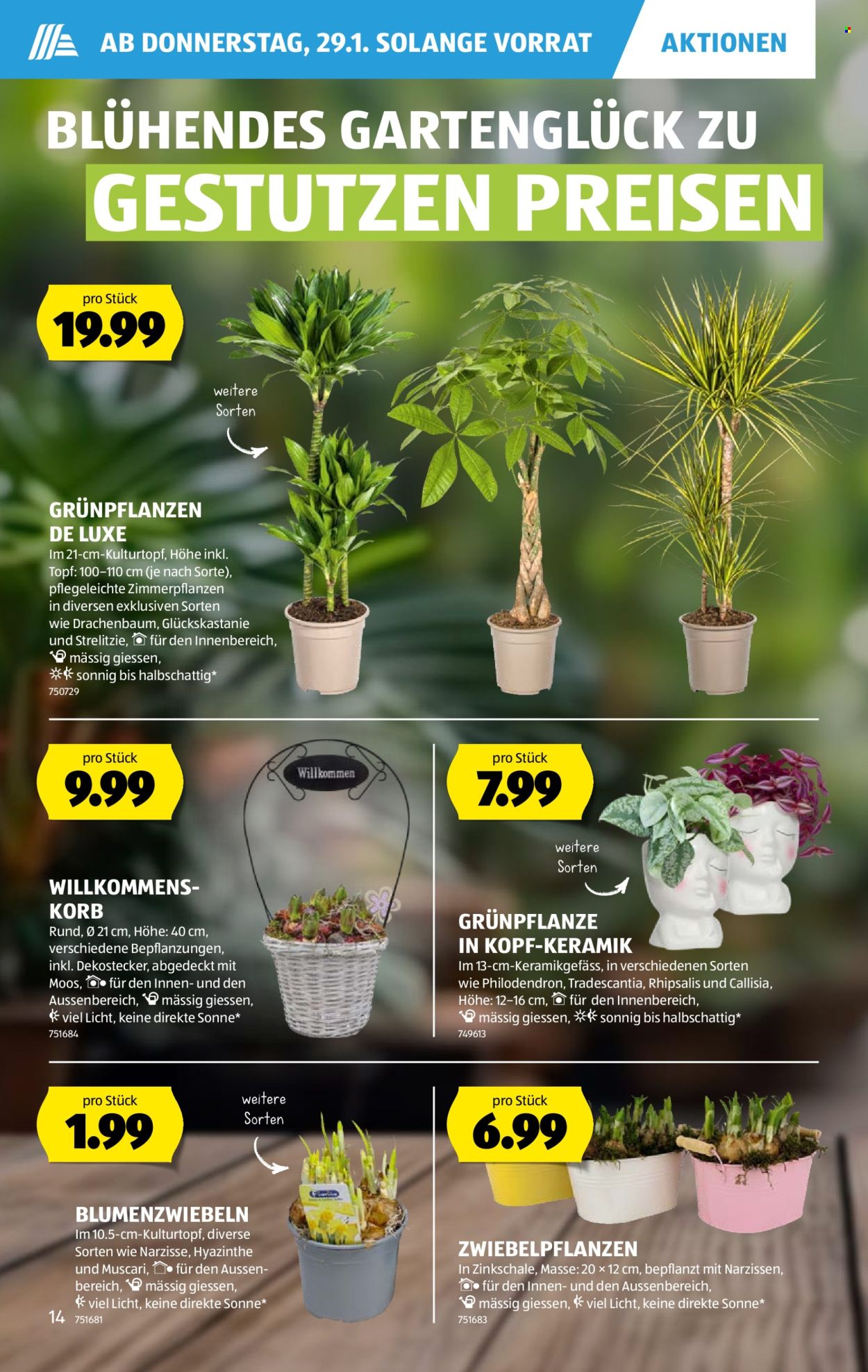 Volantino Aldi - 29.1.2026 - 4.2.2026. Pagina 14. Pagina 14