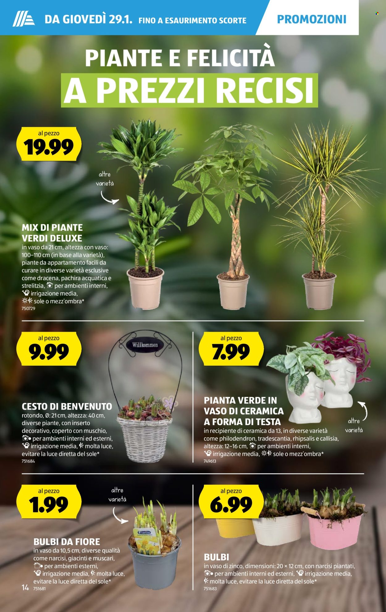 Volantino Aldi - 29.1.2026 - 4.2.2026. Pagina 14. Pagina 14