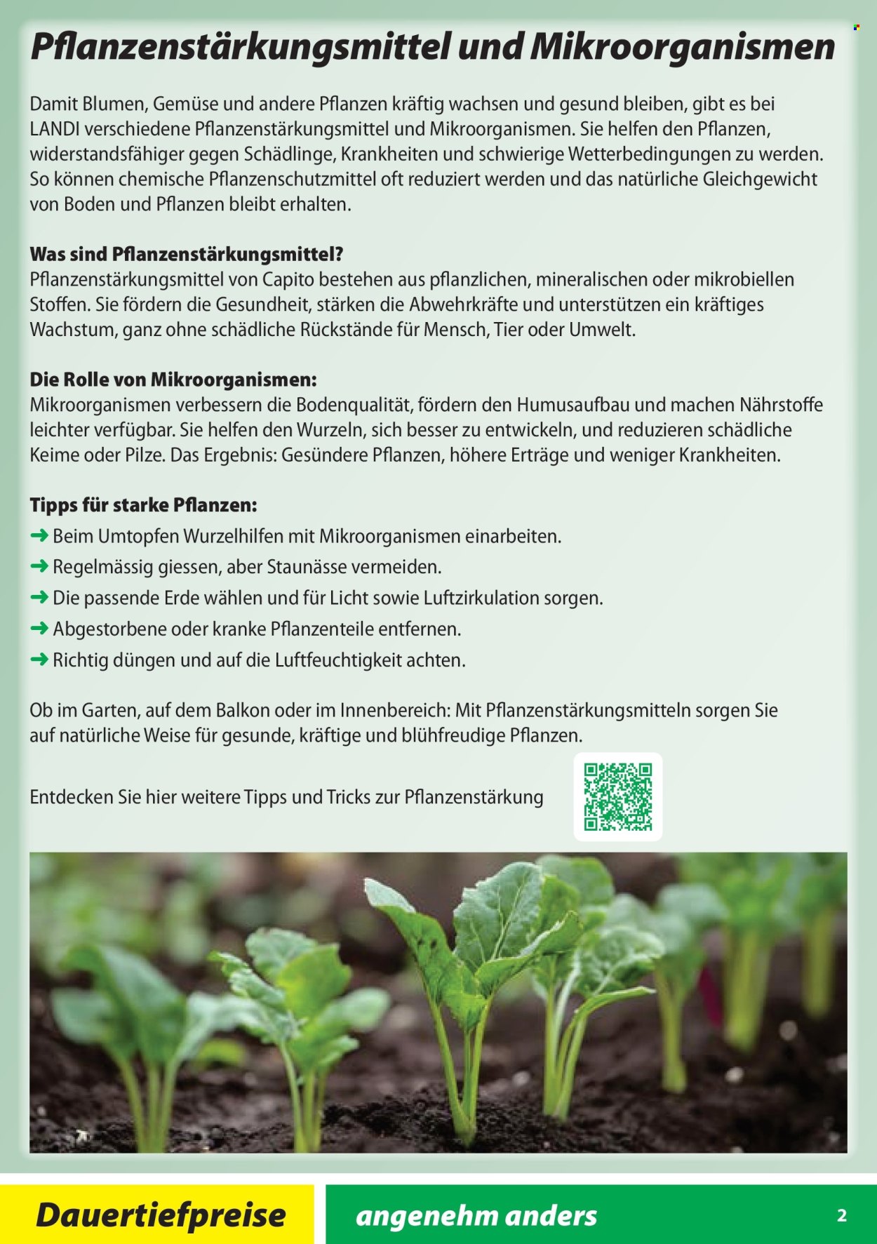 Volantino Landi - 28.1.2026 - 31.10.2026. Pagina 2. Pagina 2