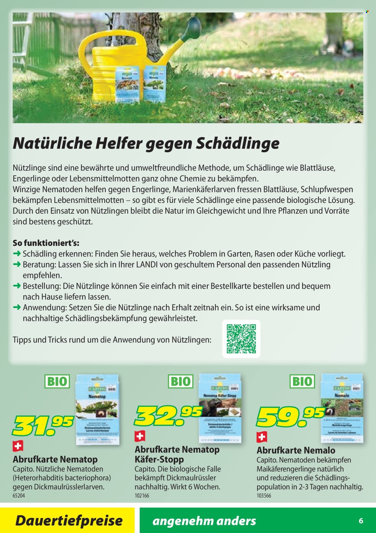 Volantino Landi - 28.1.2026 - 31.10.2026. Pagina 6. Pagina 6