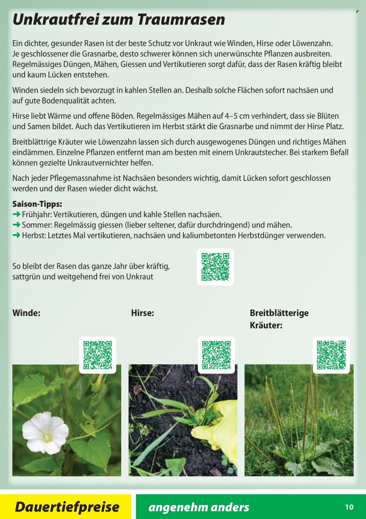 Volantino Landi - 28.1.2026 - 31.10.2026. Pagina 10. Pagina 10