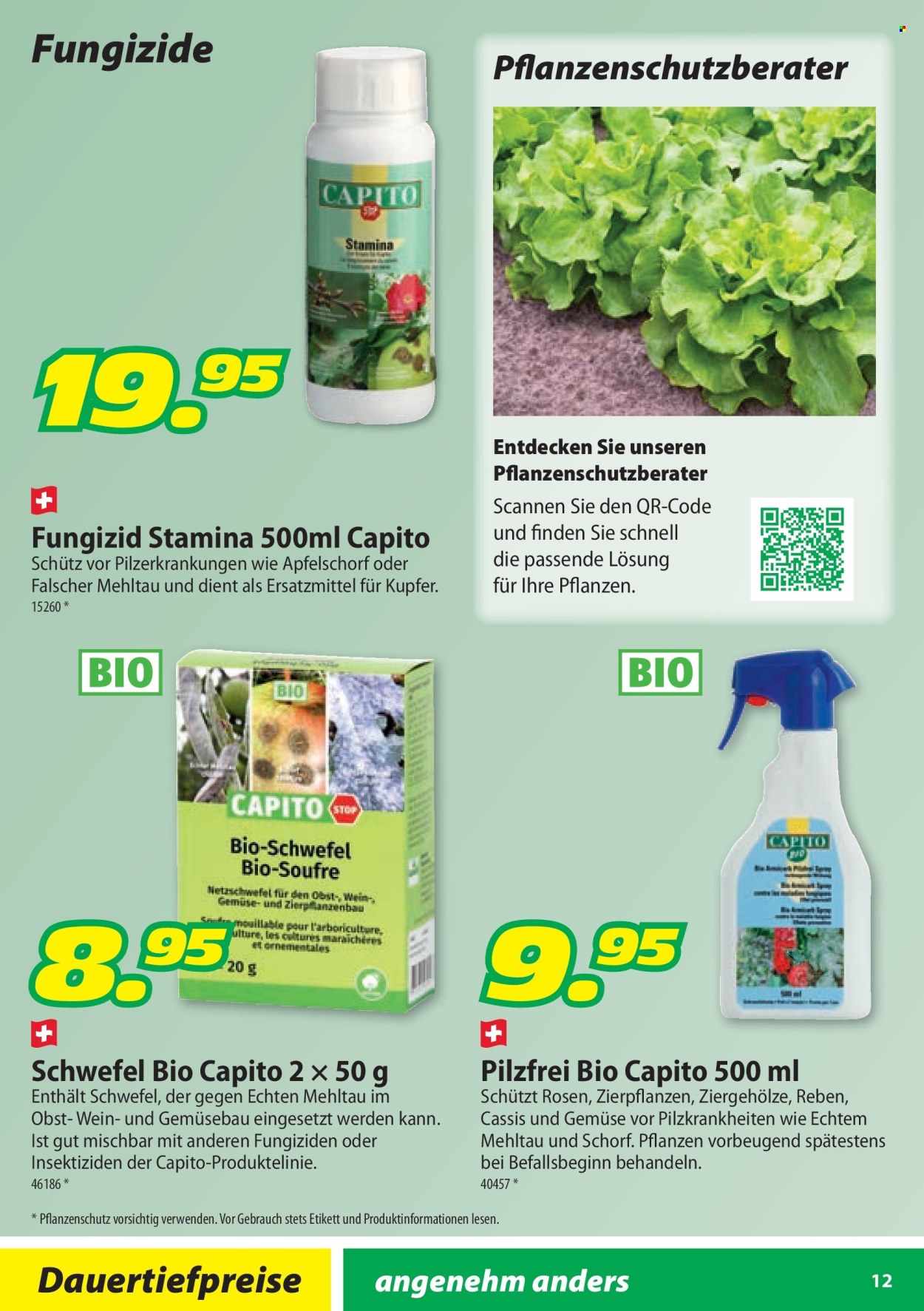 Volantino Landi - 28.1.2026 - 31.10.2026. Pagina 12. Pagina 12