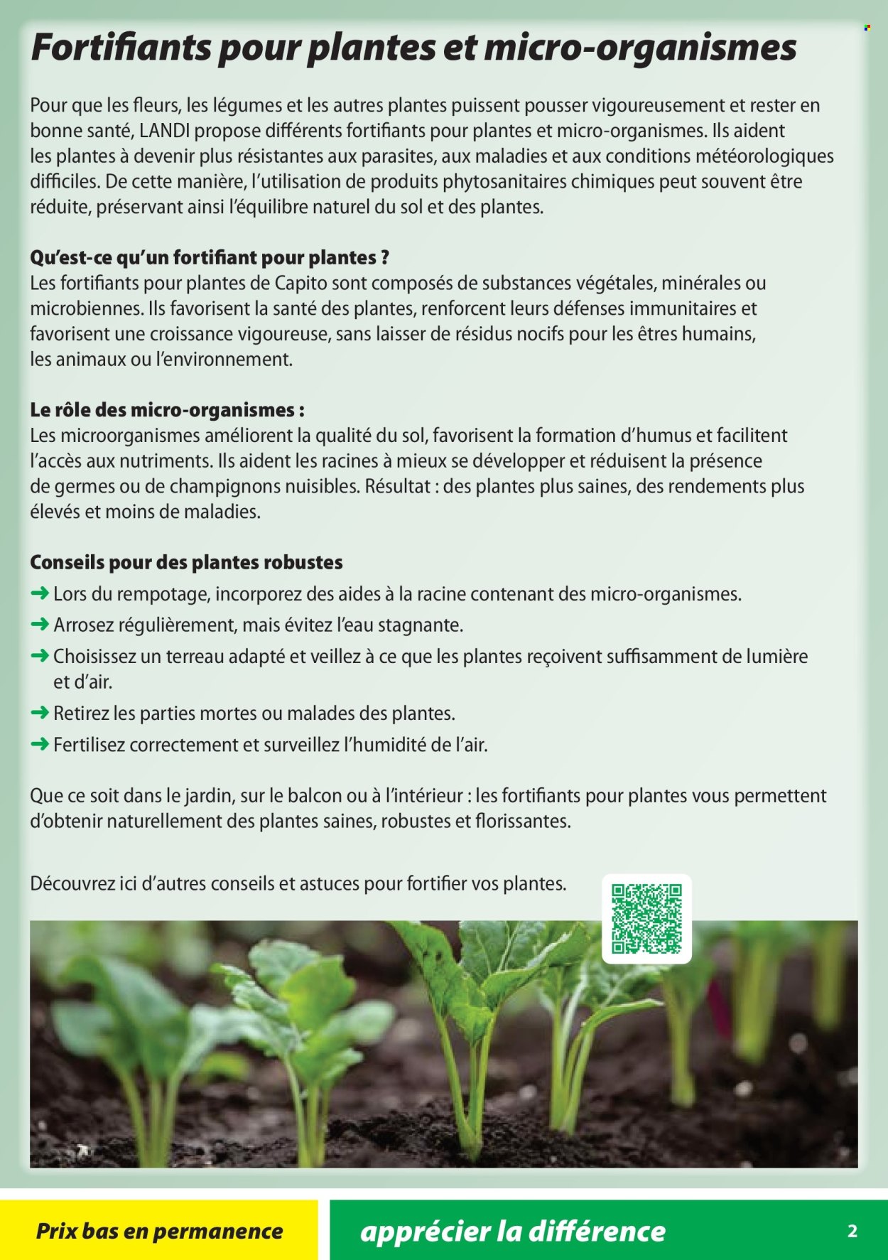 Volantino Landi - 28.1.2026 - 31.10.2026. Pagina 2. Pagina 2