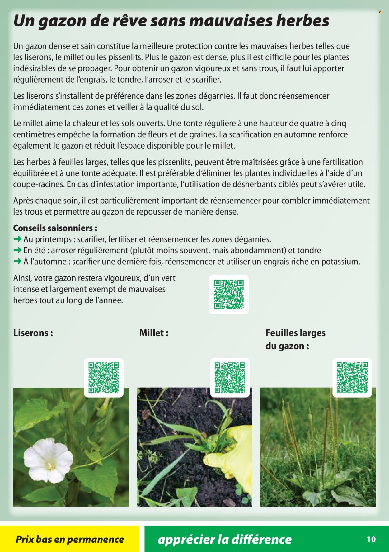 Volantino Landi - 28.1.2026 - 31.10.2026. Pagina 10. Pagina 10