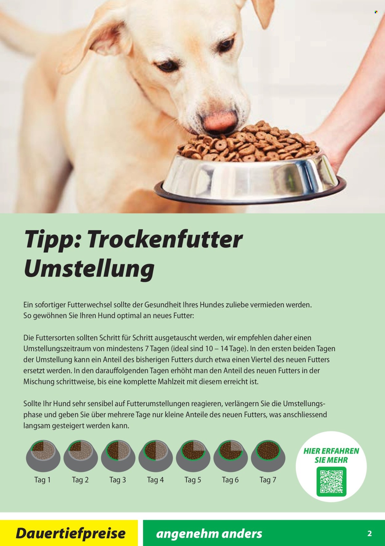 Volantino Landi - 30.1.2026 - 28.2.2026. Pagina 2. Pagina 2