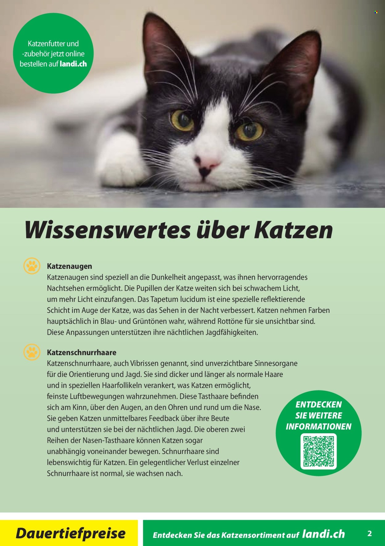 Volantino Landi - 30.1.2026 - 28.2.2026. Pagina 2. Pagina 2