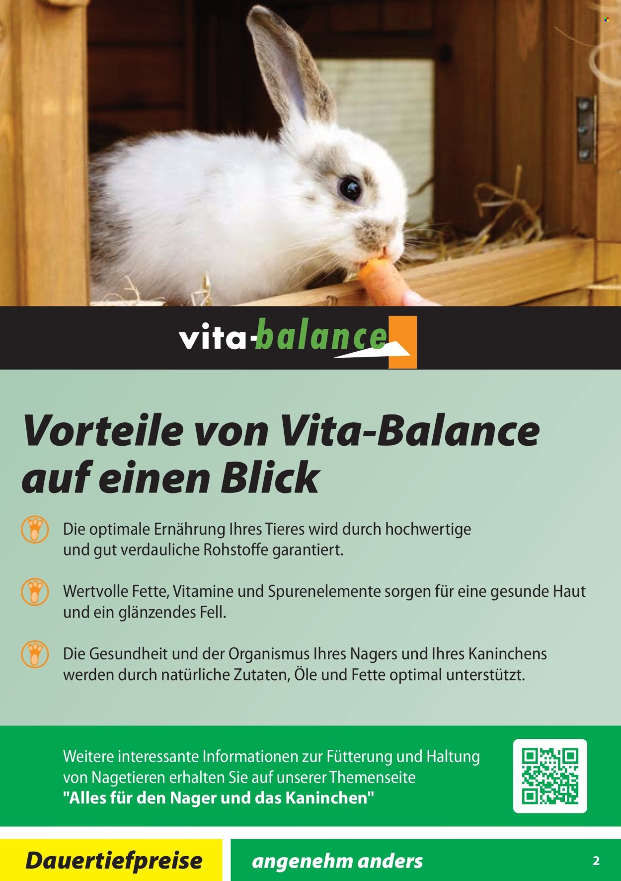 Volantino Landi - 30.1.2026 - 28.2.2026. Pagina 2. Pagina 2