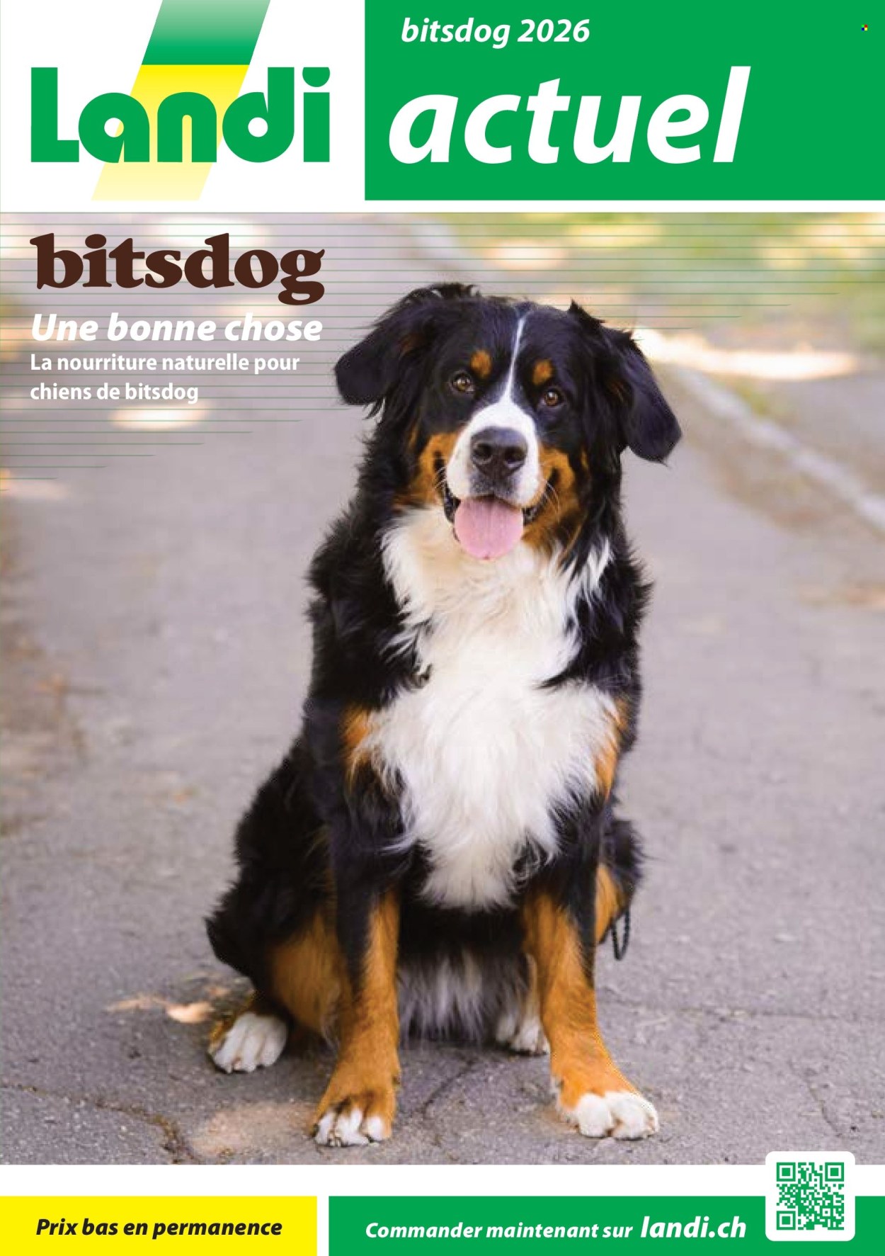 Volantino Landi - 30.1.2026 - 28.2.2026. Pagina 1. Pagina 1