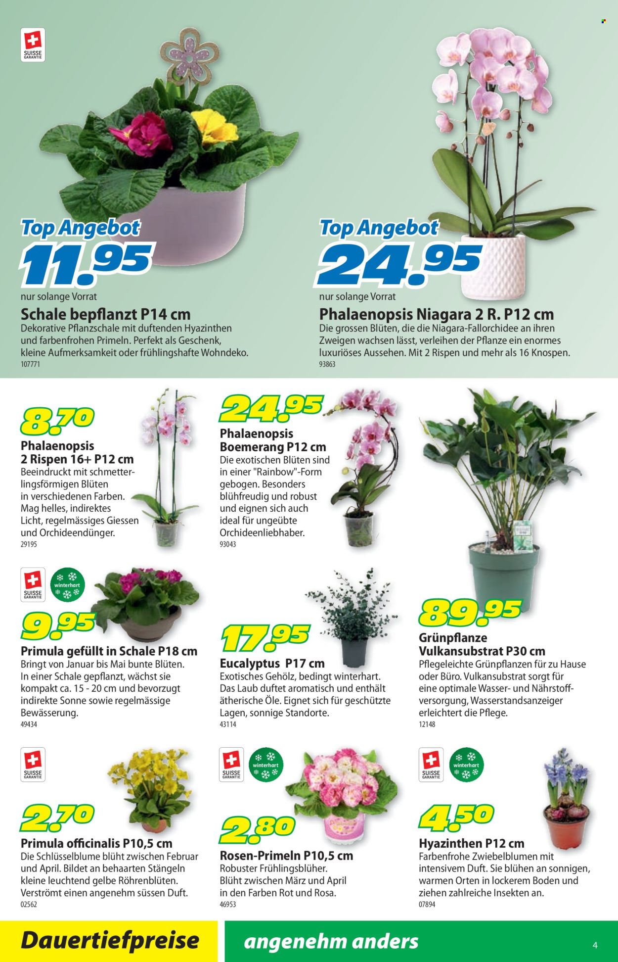 Volantino Landi - 2.2.2026 - 15.2.2026. Pagina 8. Pagina 8