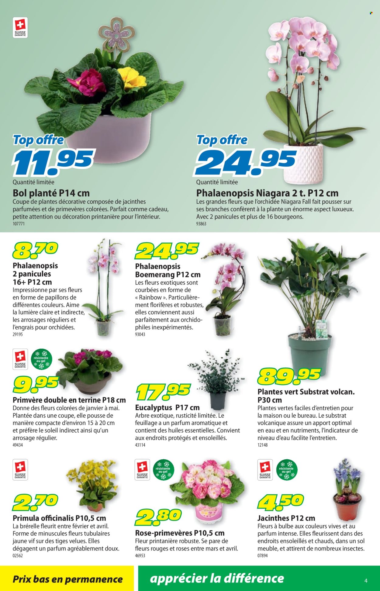 Volantino Landi - 2.2.2026 - 15.2.2026. Pagina 8. Pagina 8