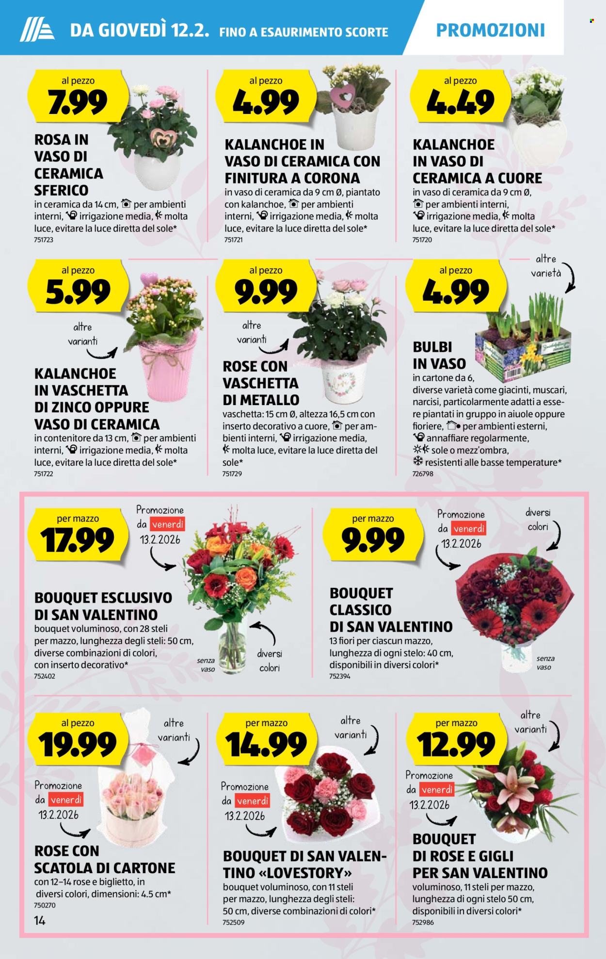 Volantino Aldi - 12.2.2026 - 18.2.2026. Pagina 14. Pagina 14