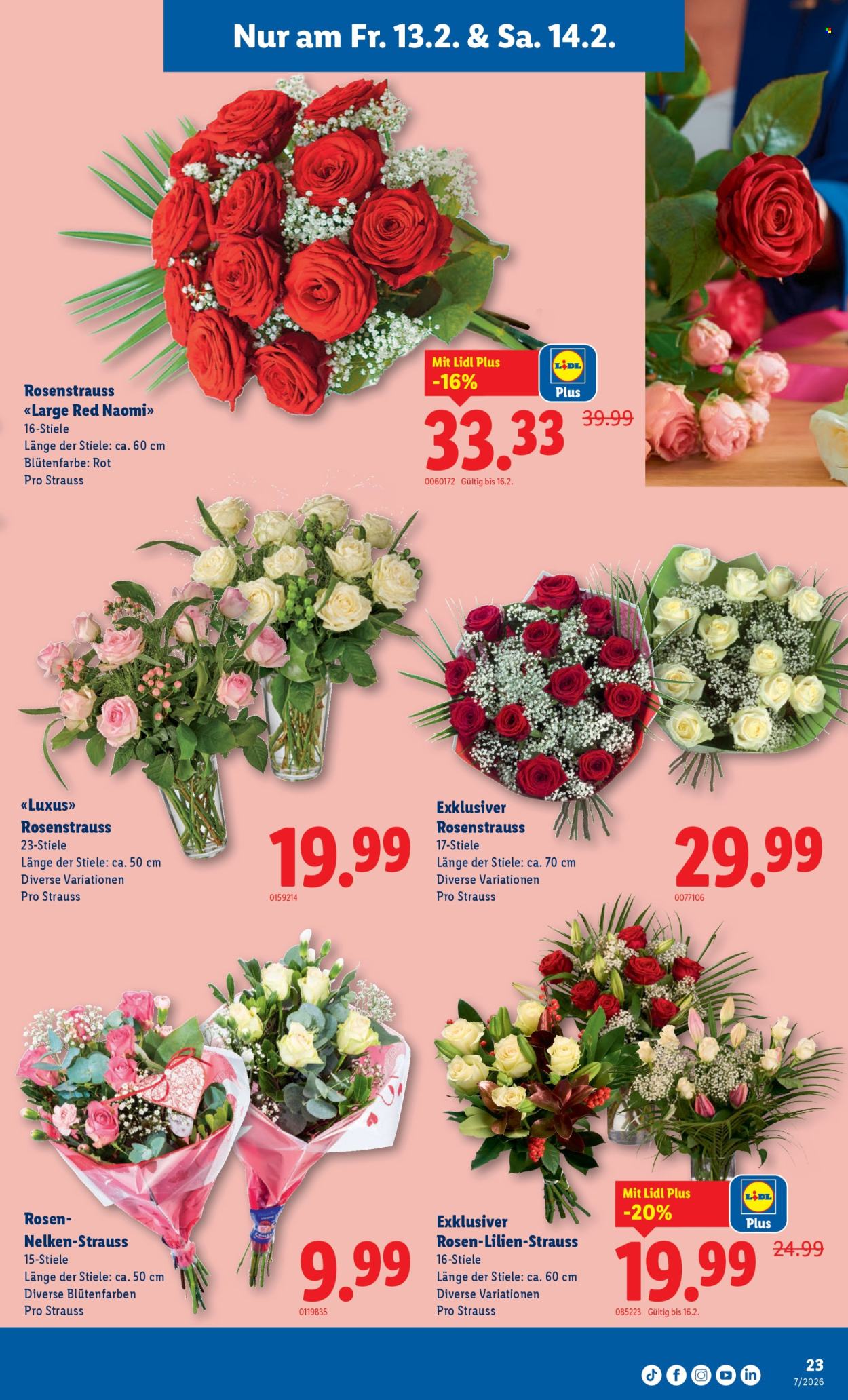 Volantino Lidl - 12.2.2026 - 18.2.2026. Pagina 23. Pagina 23