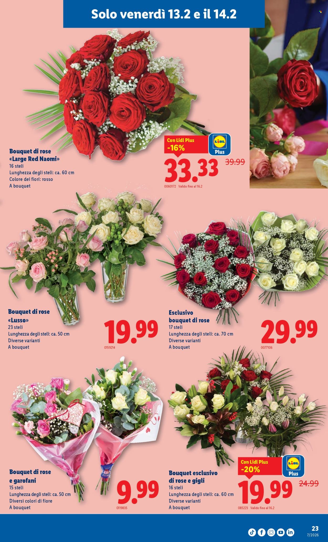 Volantino Lidl - 12.2.2026 - 18.2.2026. Pagina 23. Pagina 23