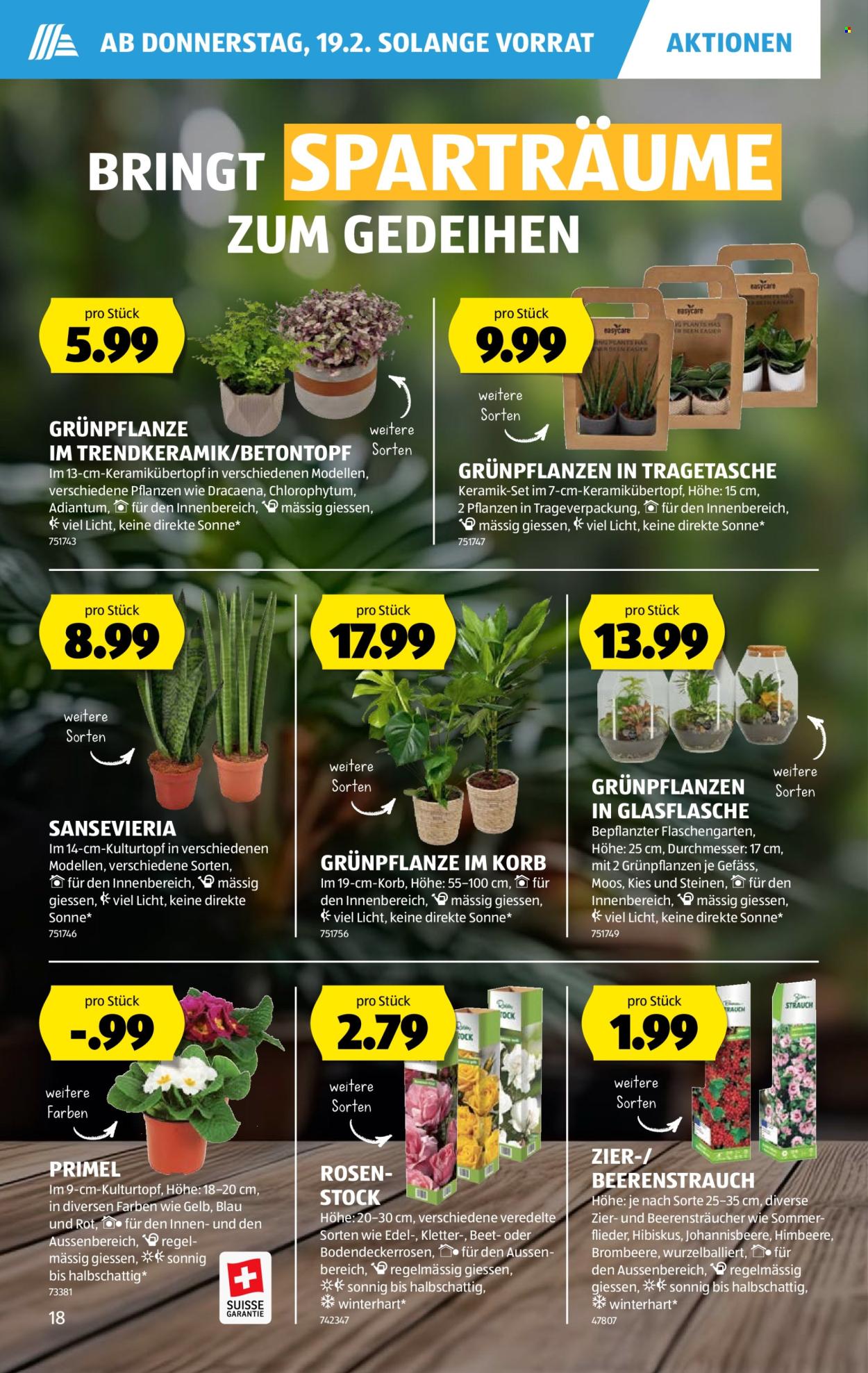 Volantino Aldi - 19.2.2026 - 25.2.2026. Pagina 18. Pagina 18