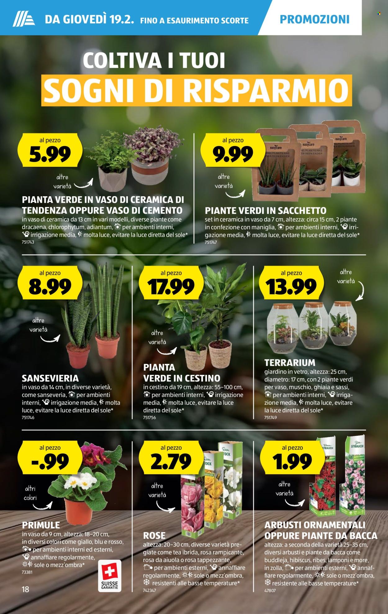 Volantino Aldi - 19.2.2026 - 25.2.2026. Pagina 18. Pagina 18