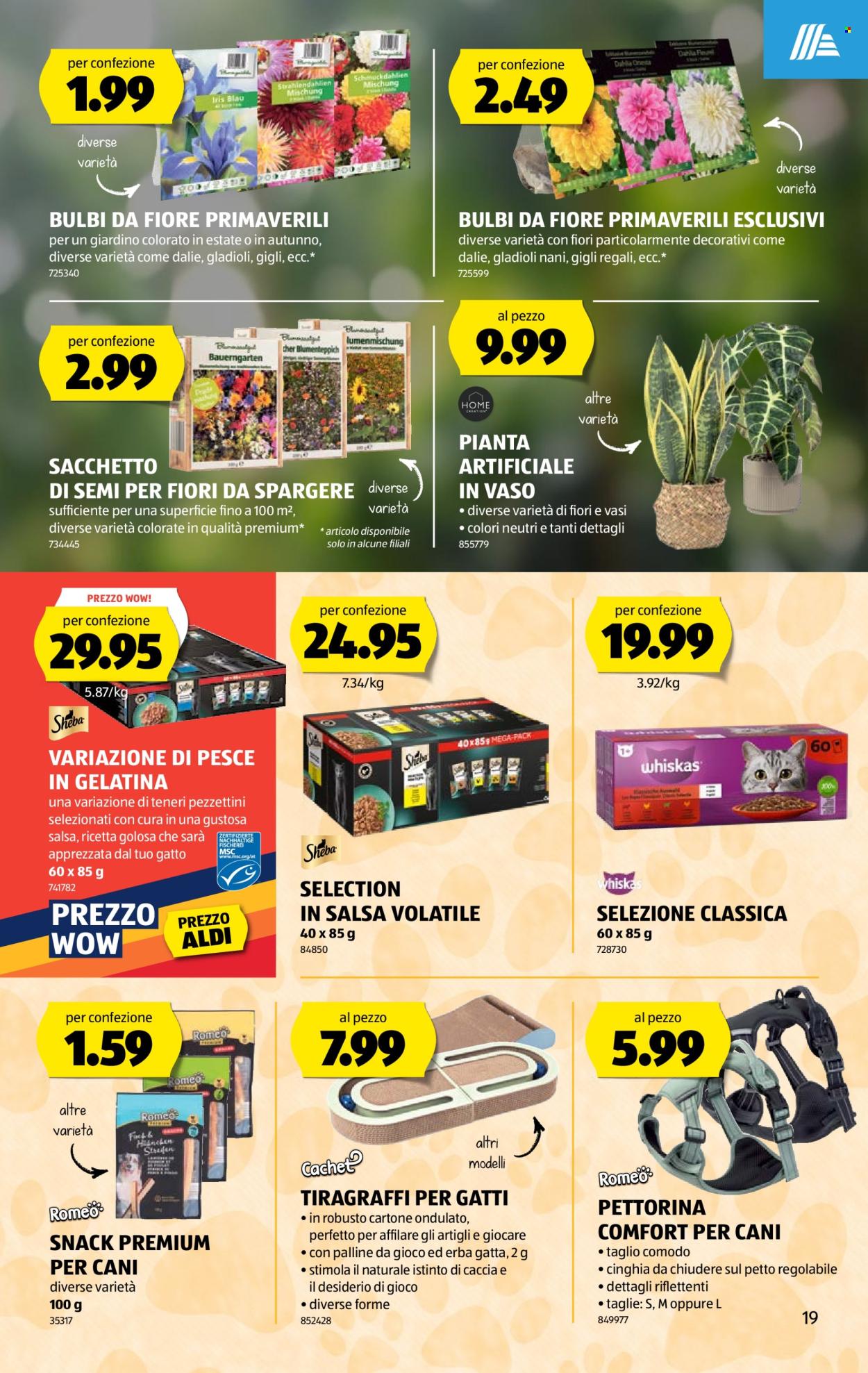 Volantino Aldi - 19.2.2026 - 25.2.2026. Pagina 19. Pagina 19