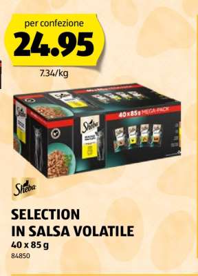 Sheba SELECTION IN SALSA VOLATILE