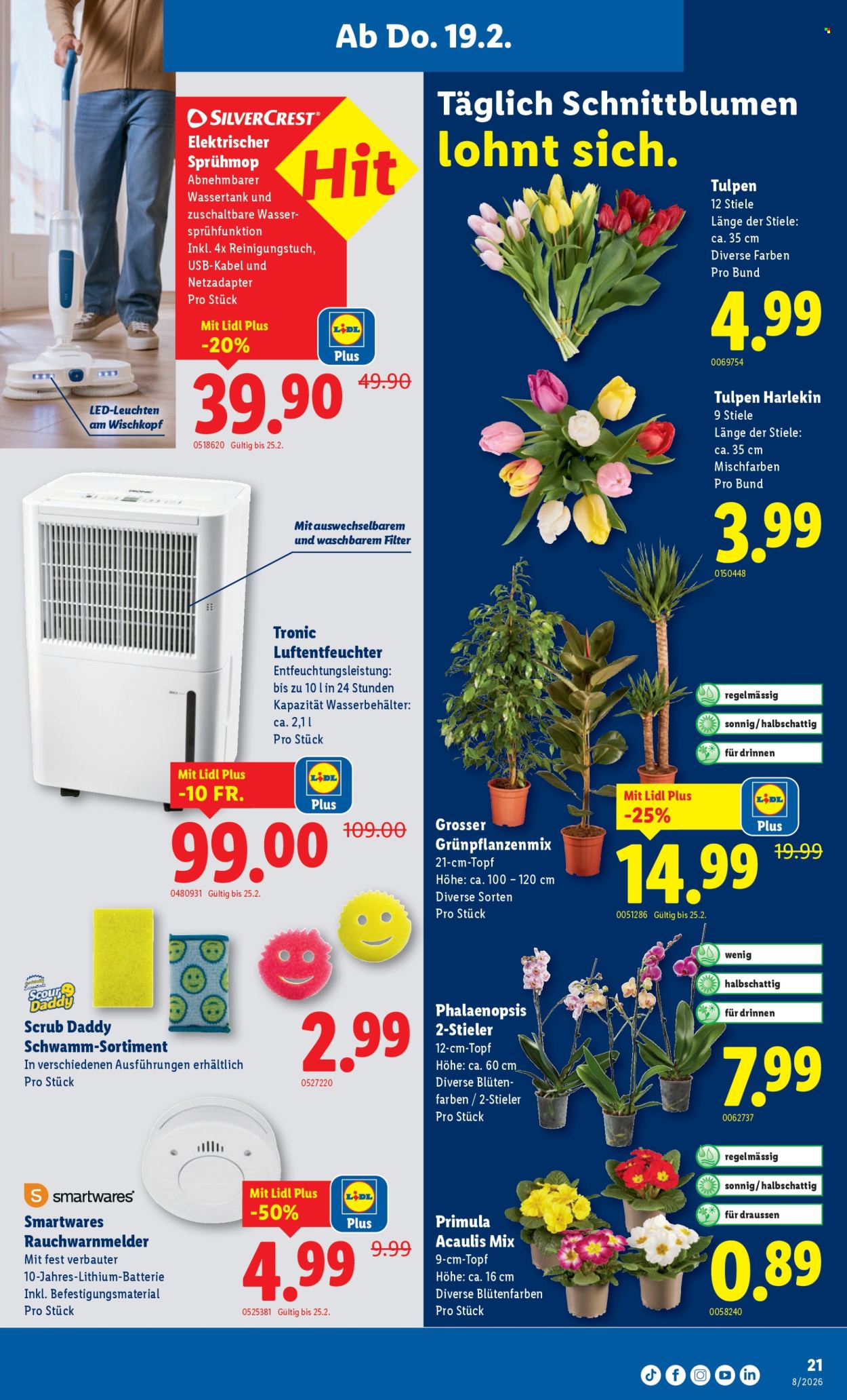 Volantino Lidl - 19.2.2026 - 25.2.2026. Pagina 21. Pagina 21